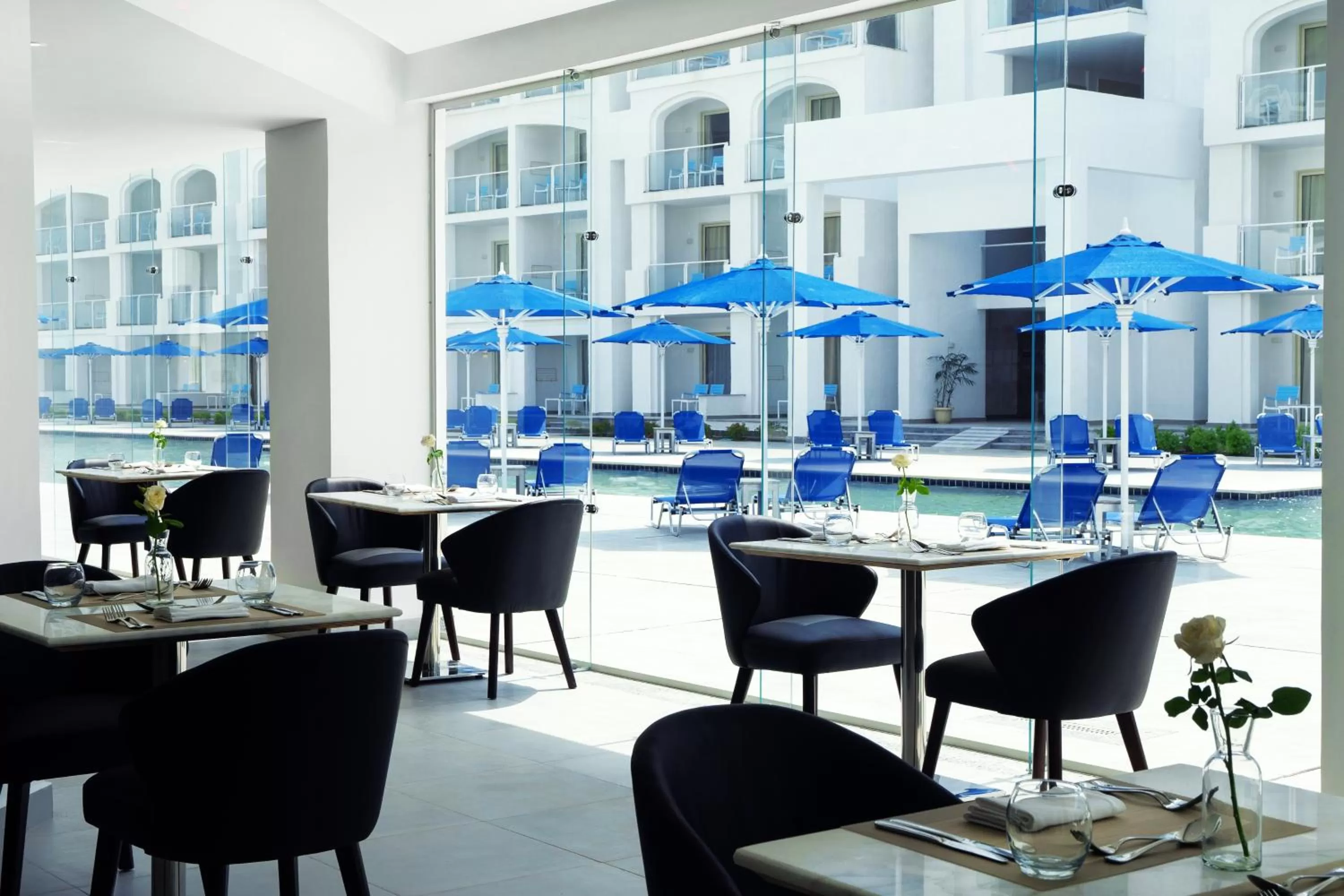 Restaurant/places to eat in Pickalbatros Blu Spa Resort - Adults Friendly 16 Years Plus- Ultra All-Inclusive