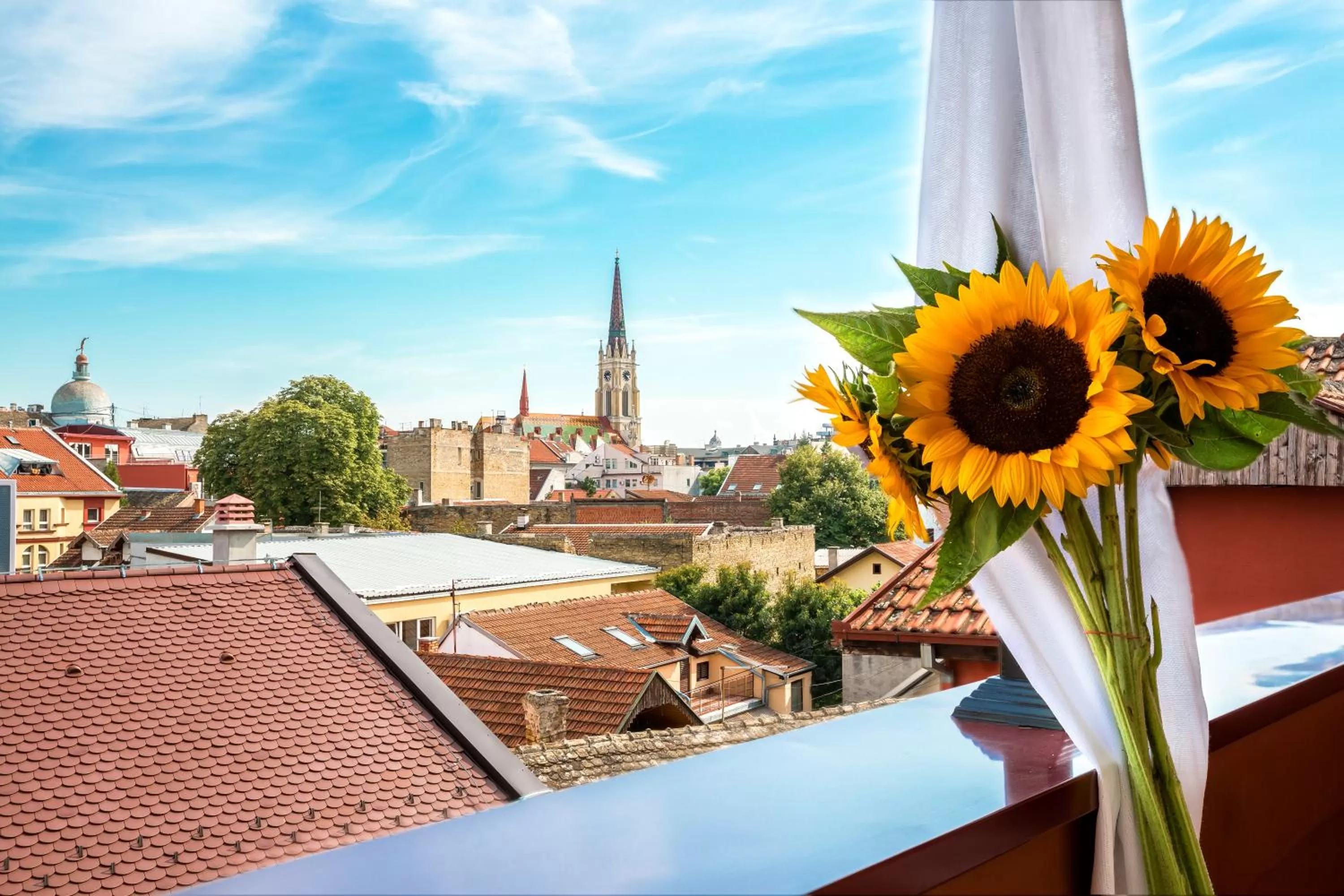 Balcony/Terrace in Hotel Fontana