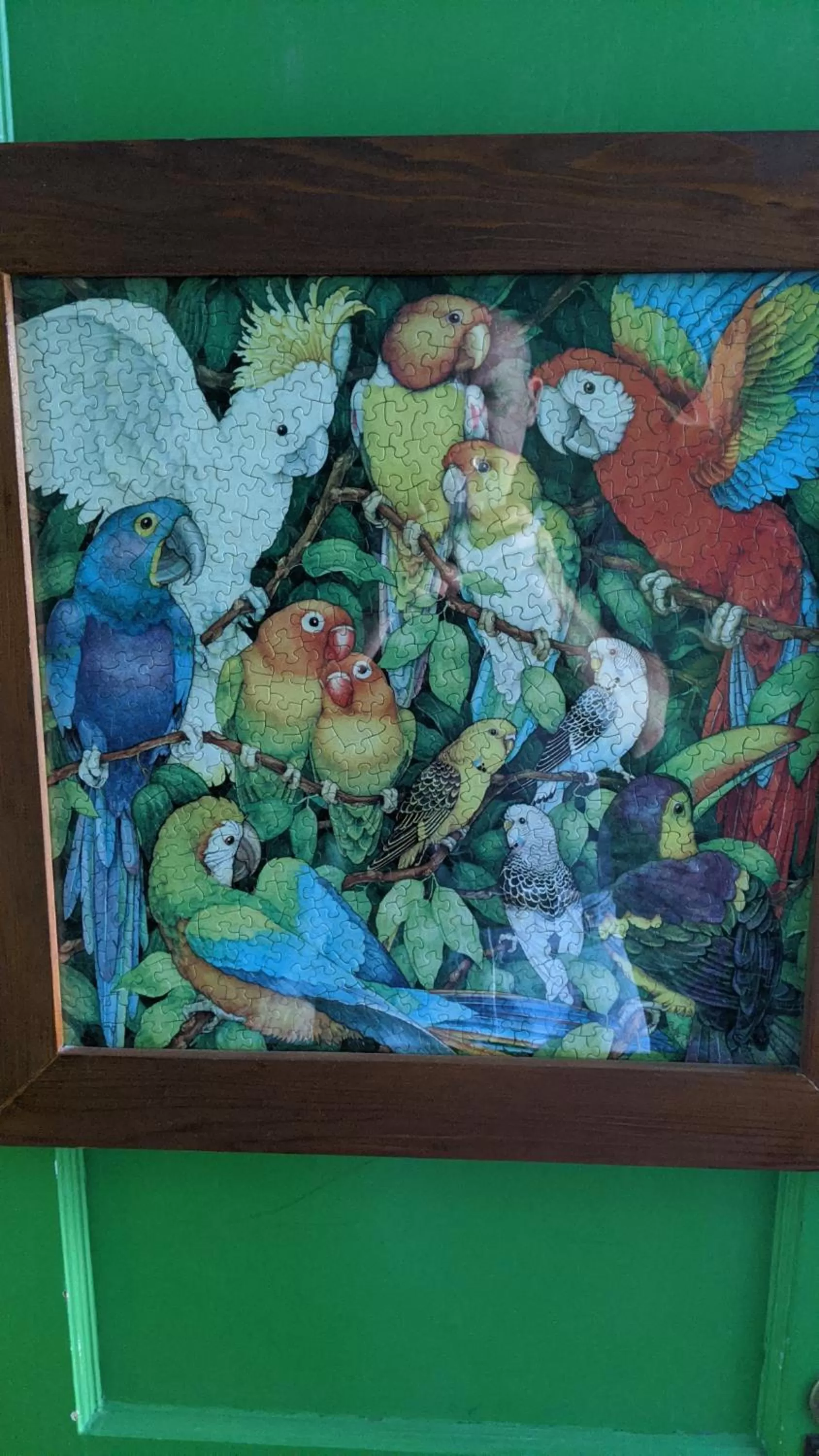 Decorative detail in The Pirate Haus Inn