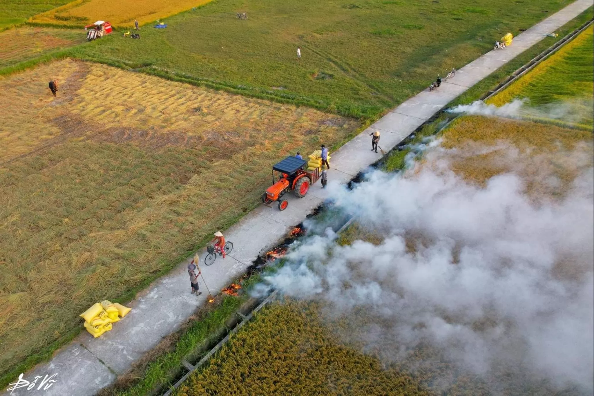 Day in Lavini Hoian Boutique Villa