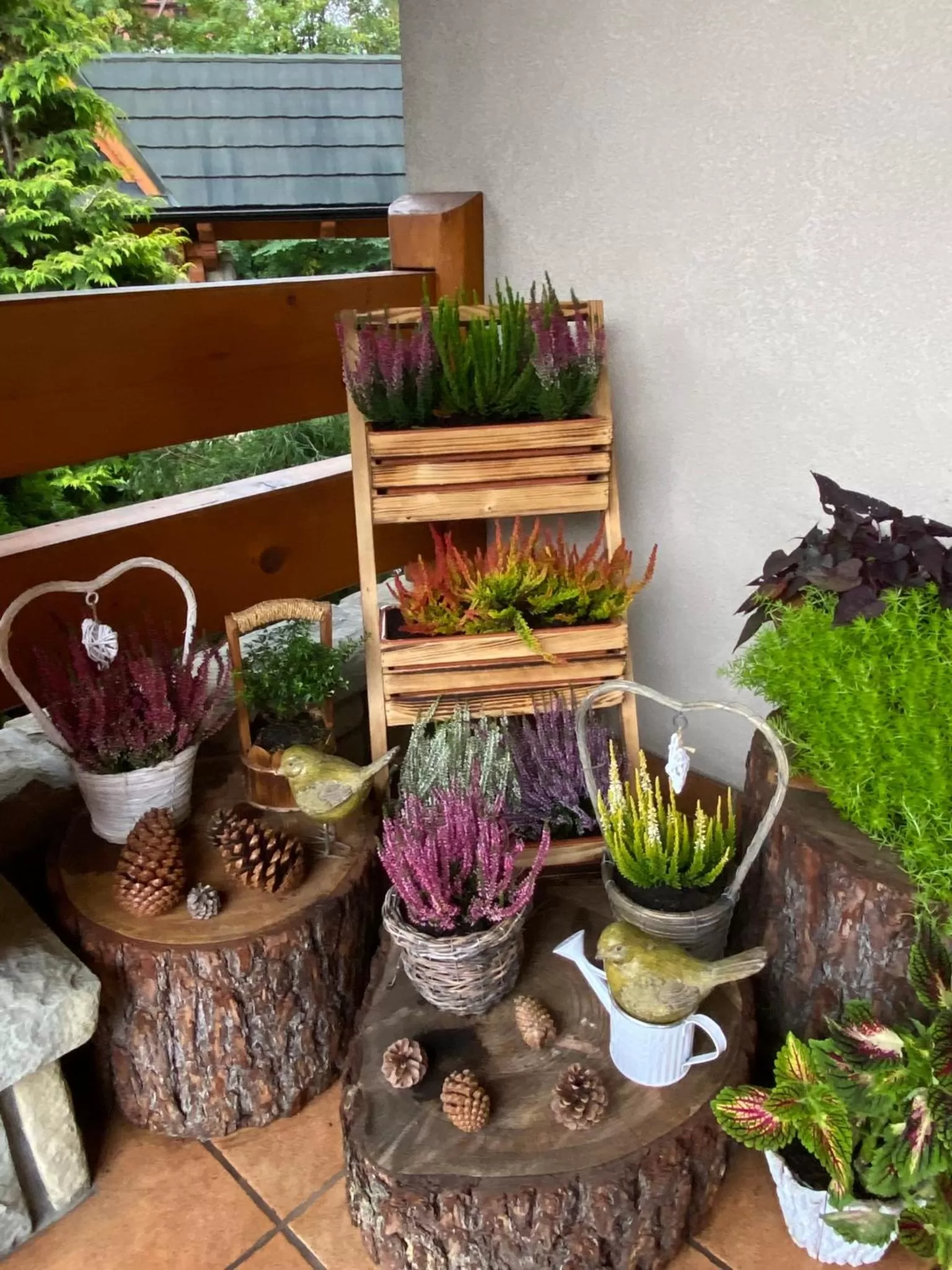 Leśny Dworek Zakopane