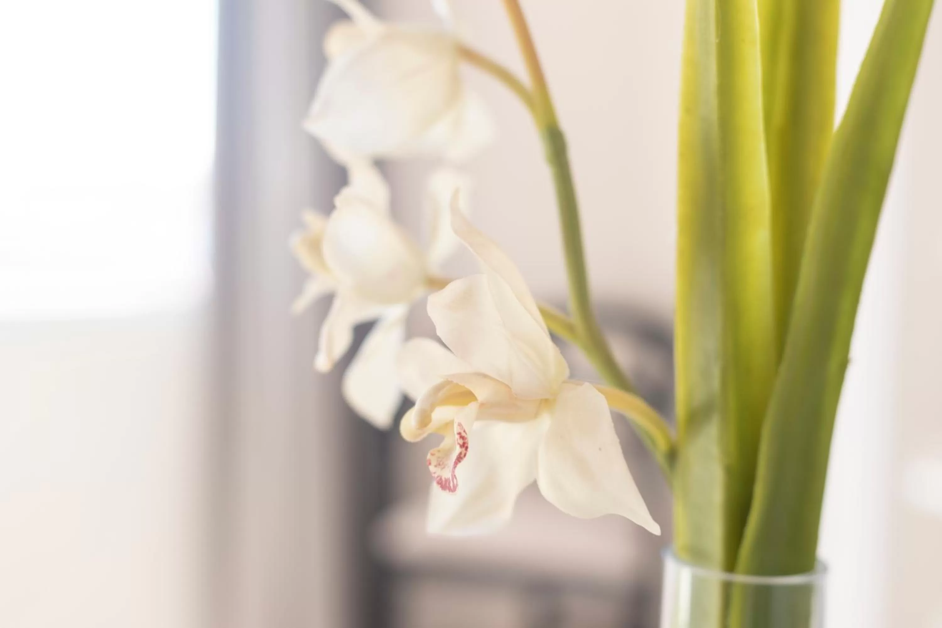 Decorative detail in Hotel Ramomar