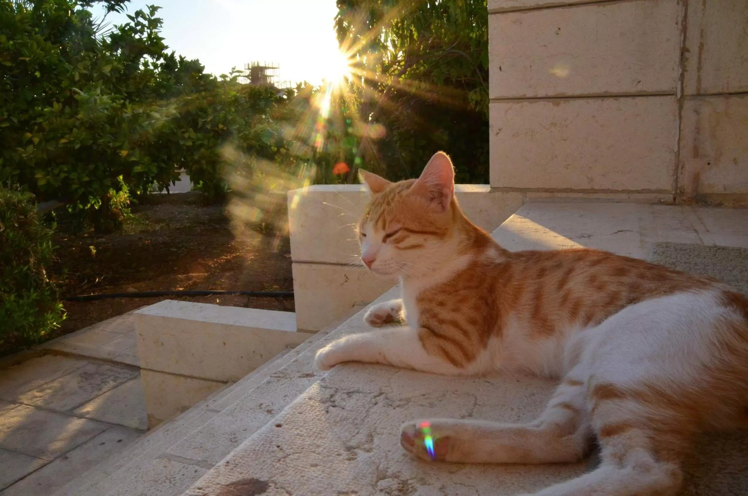Facade/entrance, Pets in Auberg-Inn Guesthouse