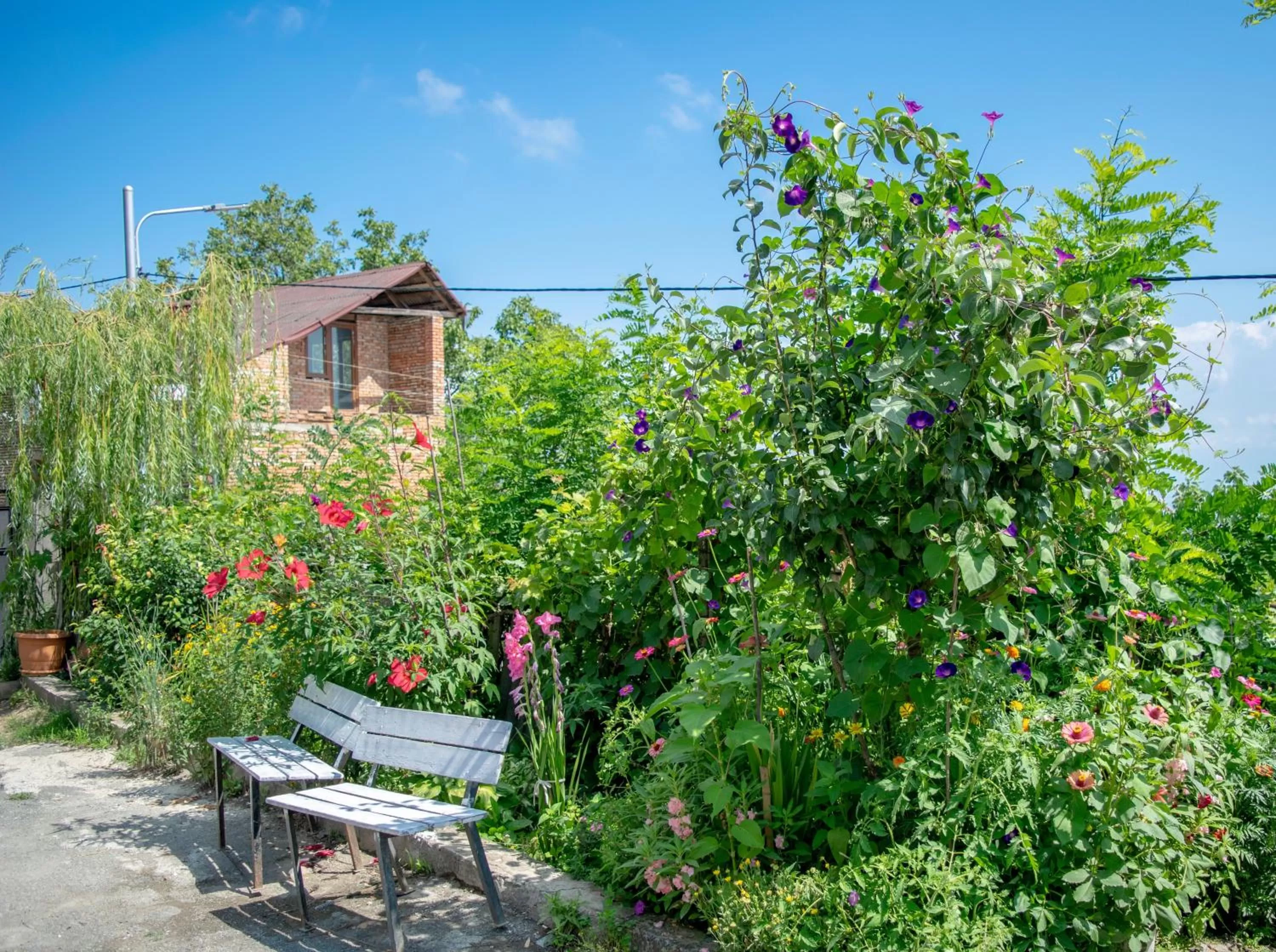 Garden, Property Building in 4 Rooms