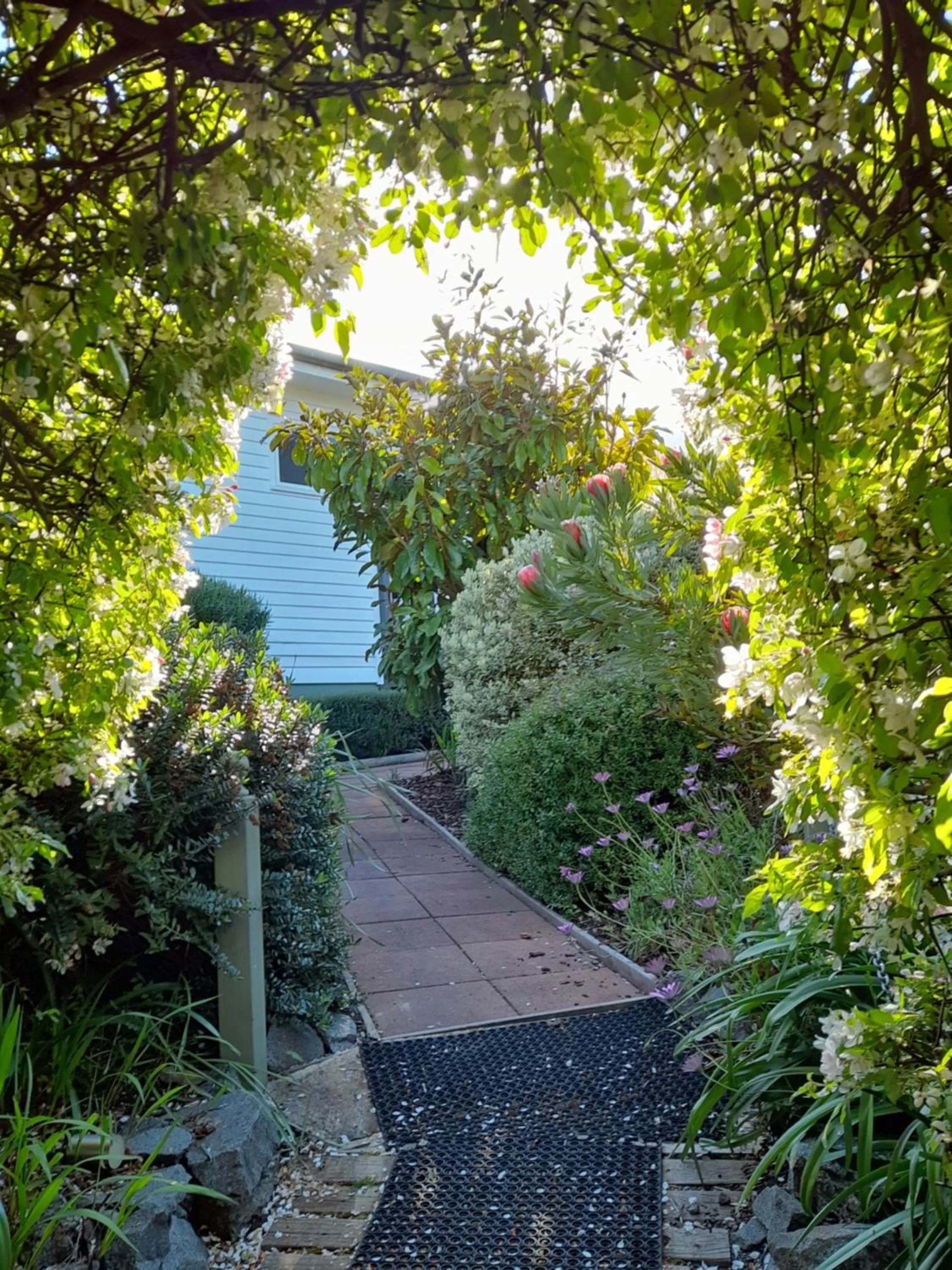 Hillside Bed and Breakfast