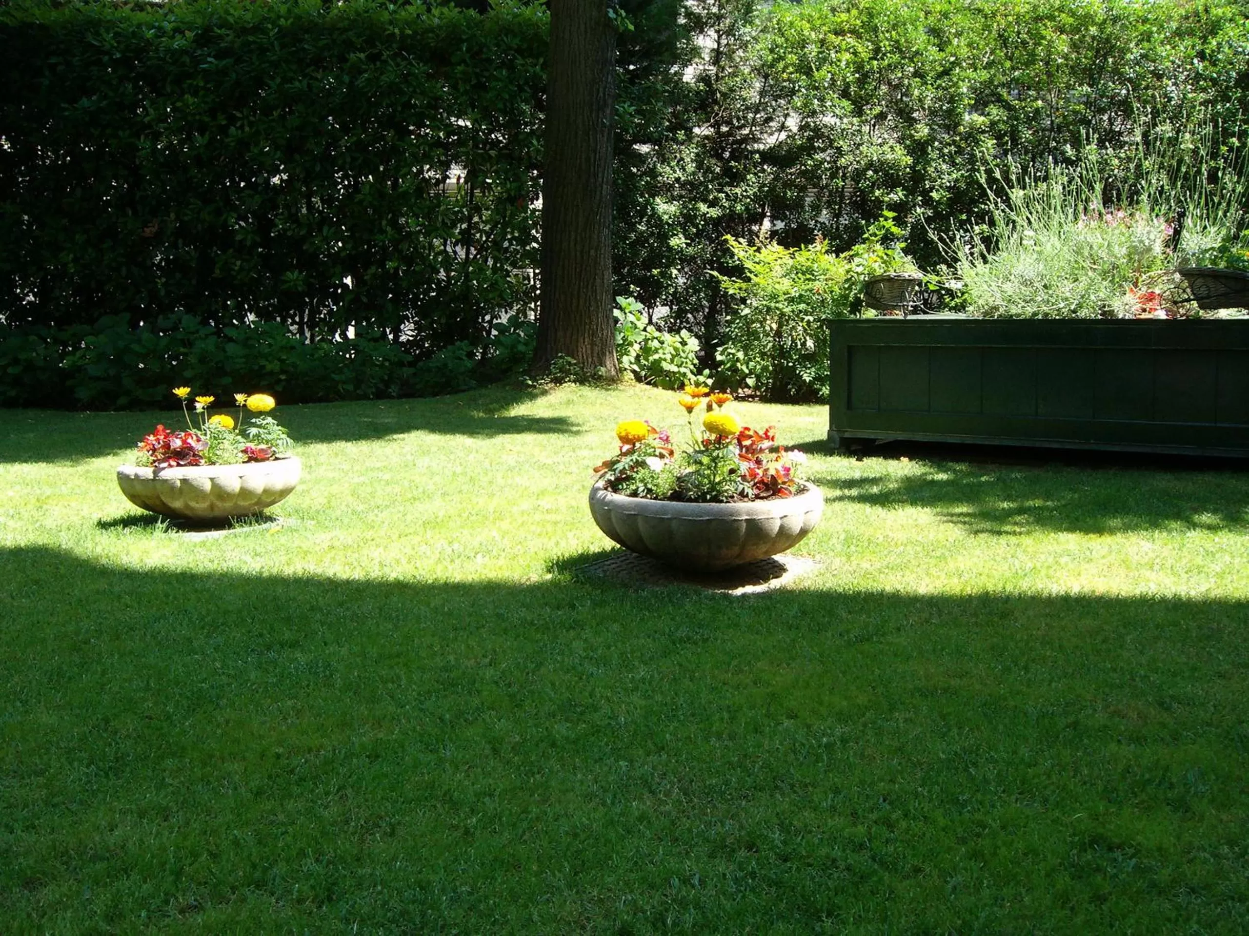 Garden in Hotel Touring