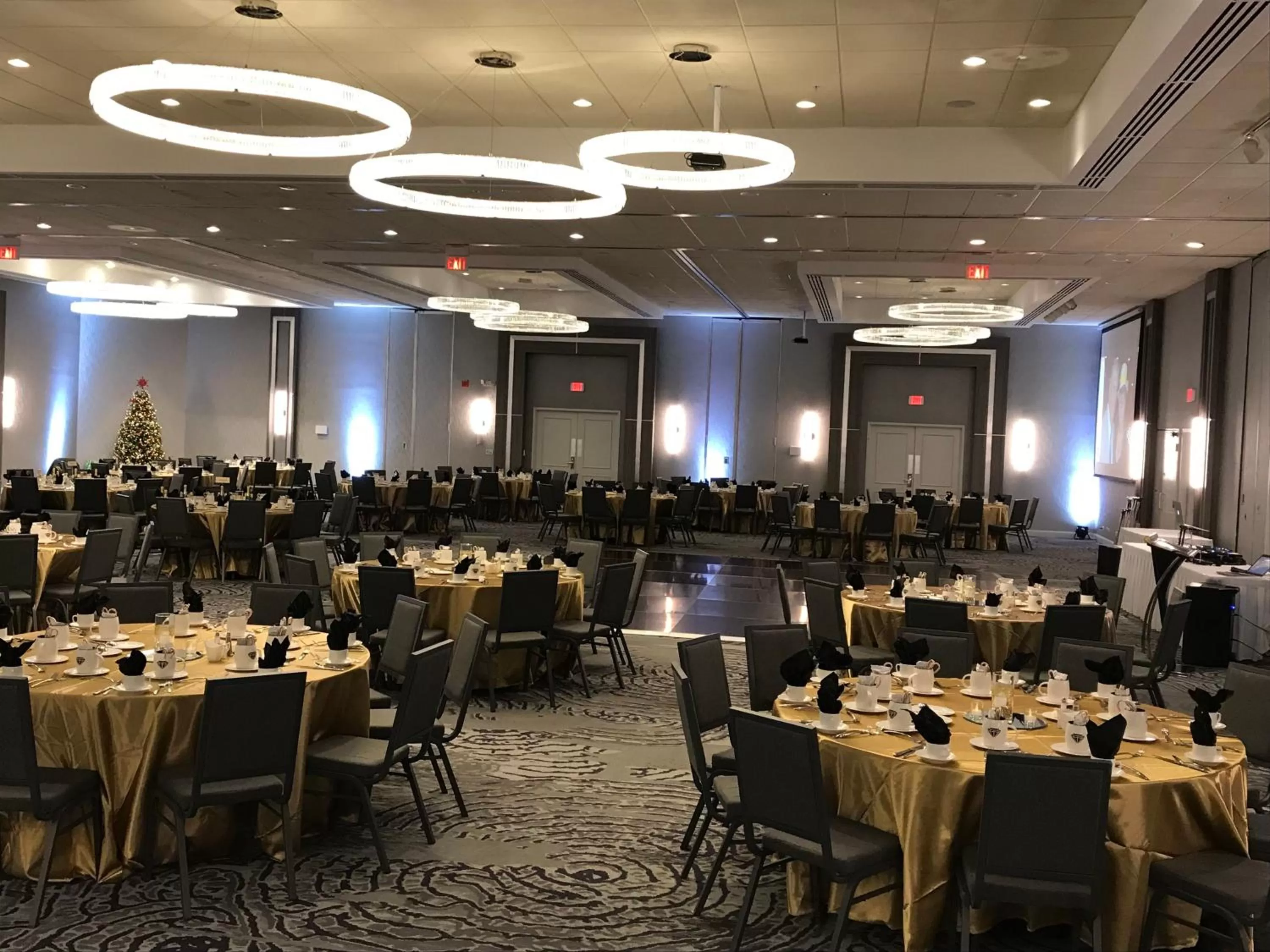 Banquet/Function facilities in Holiday Inn Chicago Nw Crystal Lk Conv Ctr by IHG