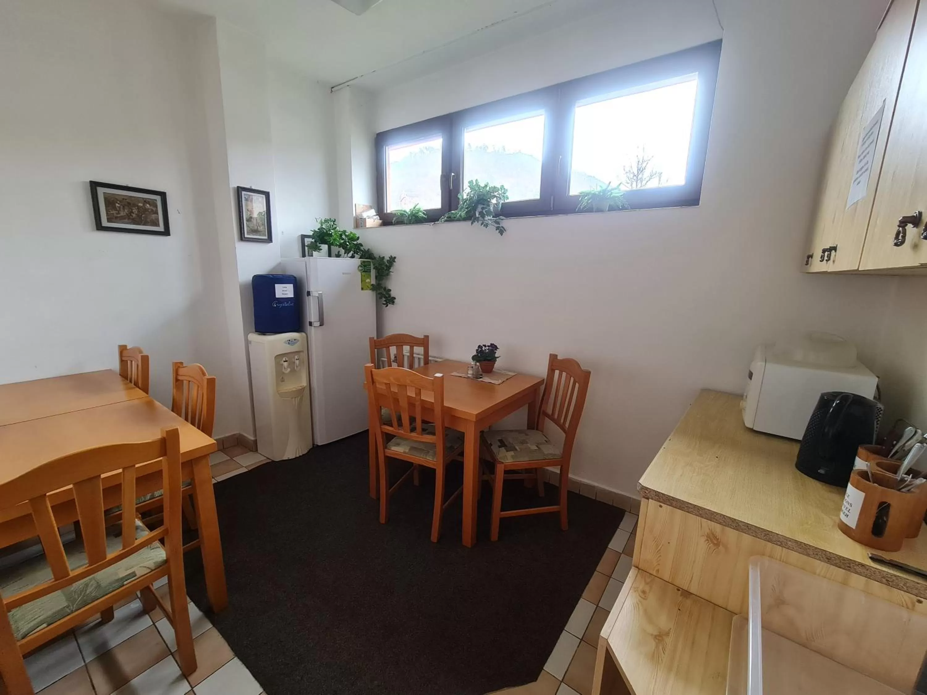 Kitchen or kitchenette in garni Hotel ASAS***