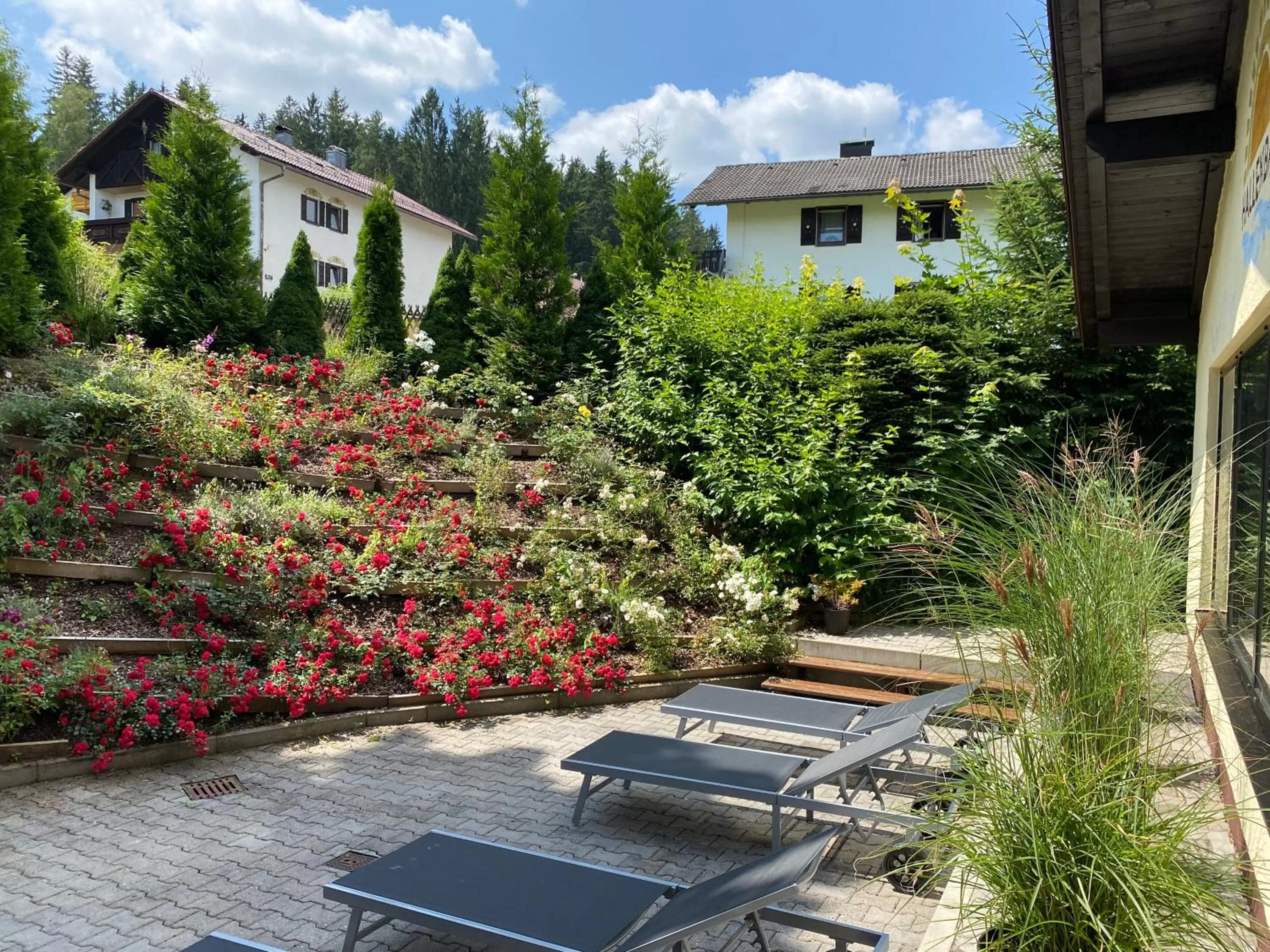 Patio, Property Building in Hotel Sonnenhof - Superior