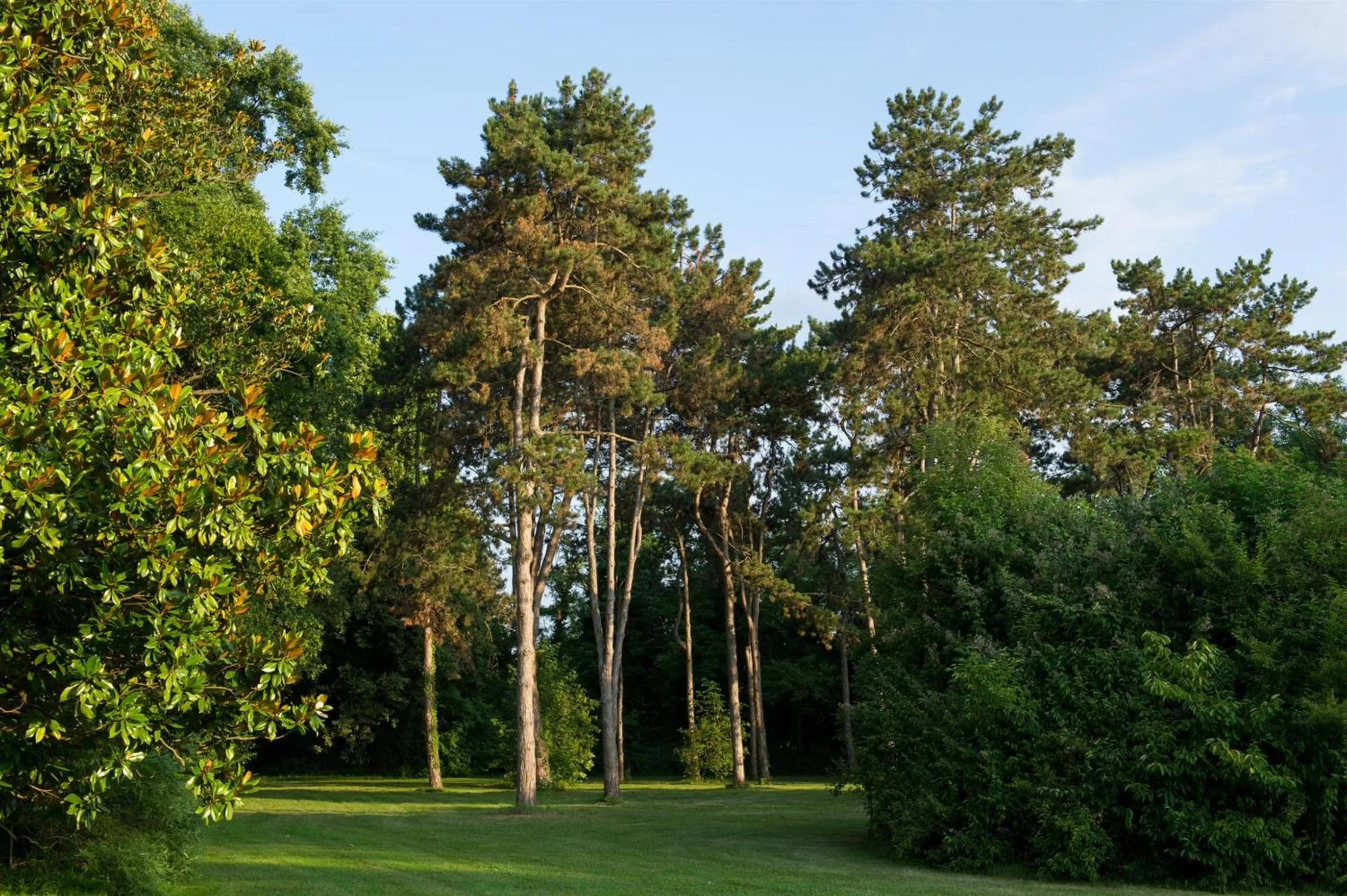 Garden in Relais Monaco Country Hotel & Spa