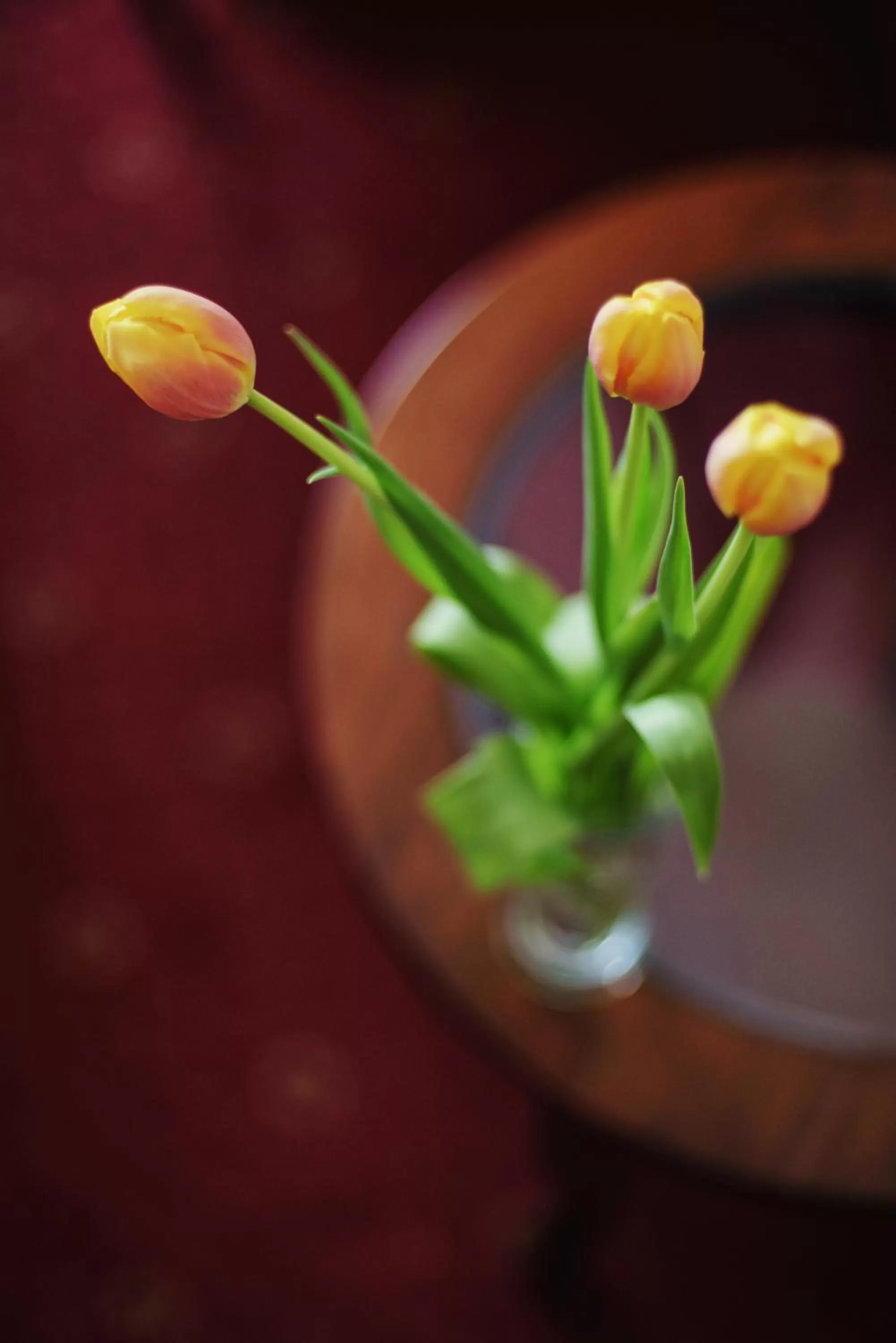 Lobby or reception in Lila Medical SPA