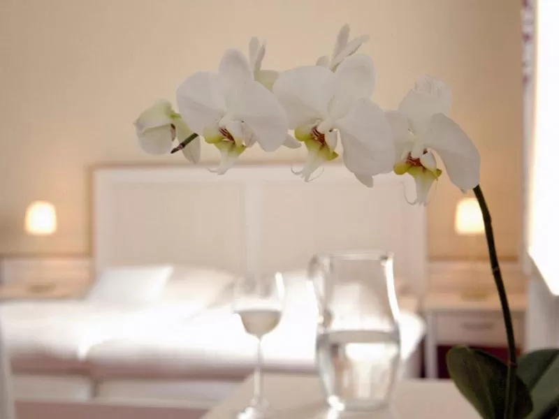 Decorative detail, Bed in Akzent Hotel Dorn