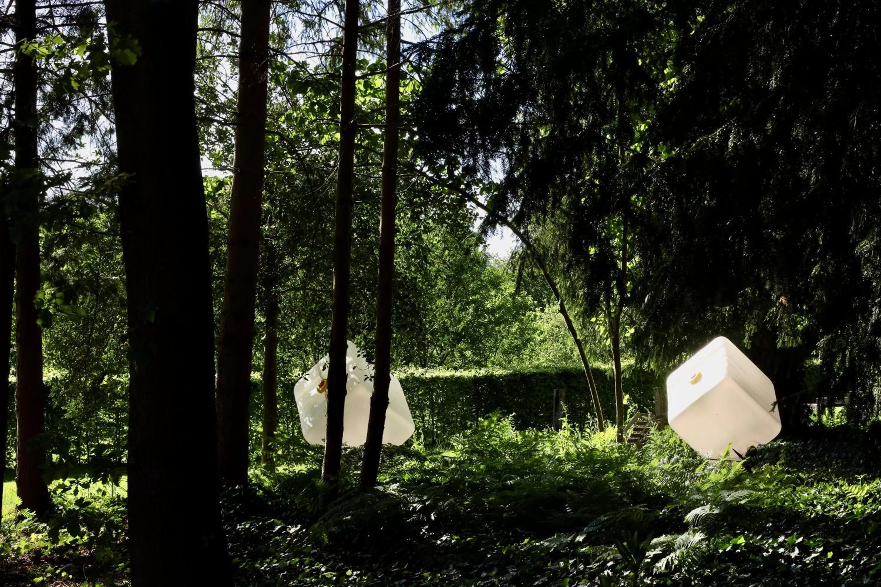 Garden in de Lochemse Berg