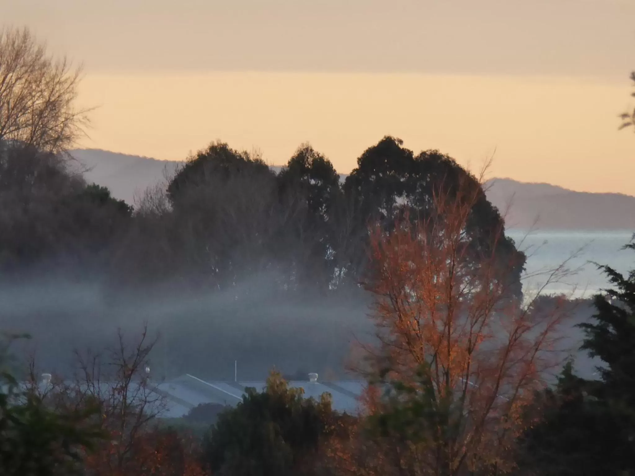 Autumn in Hazelwood Mapua