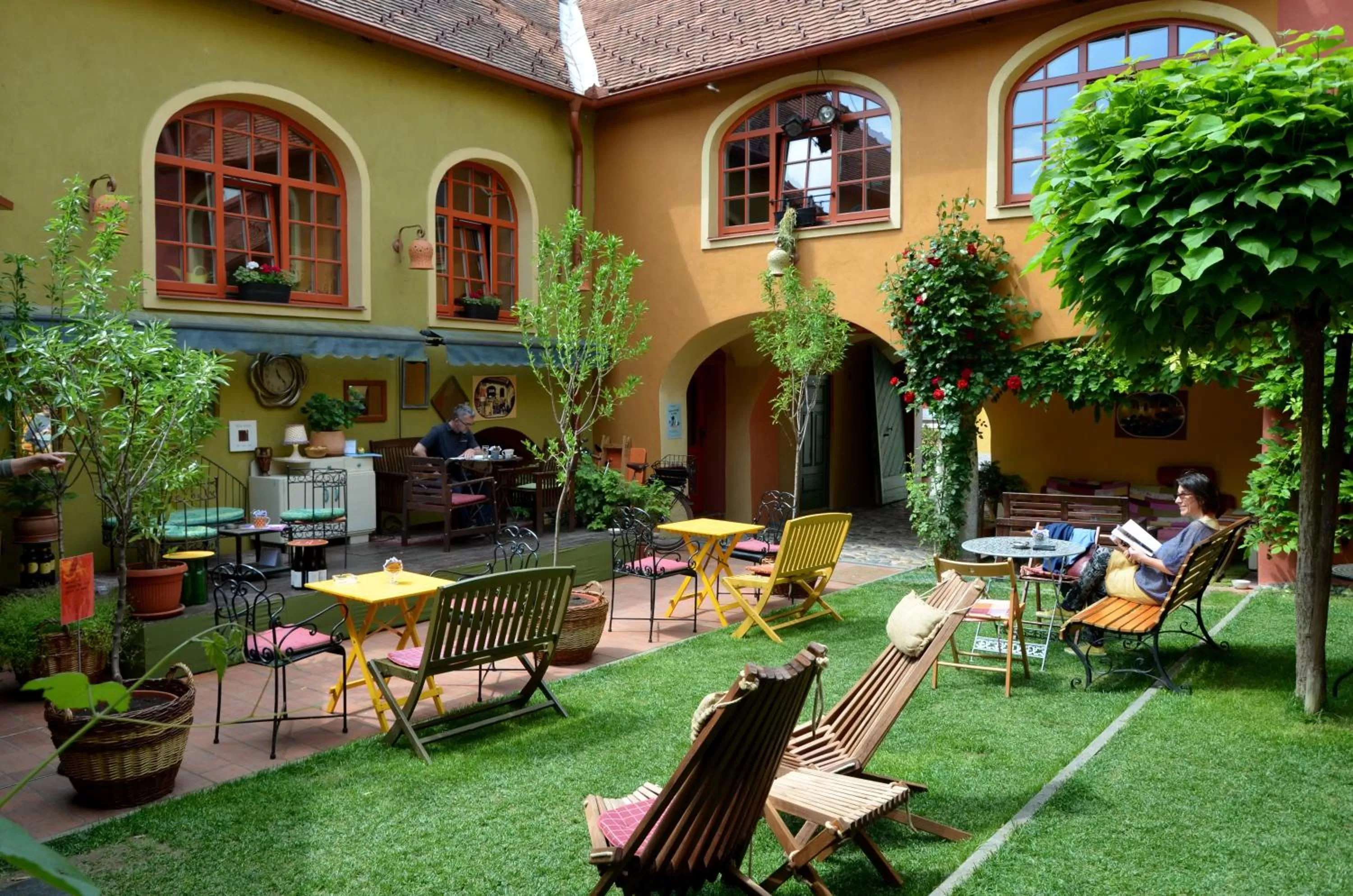 Garden view in MuziKafe - Home of Culture