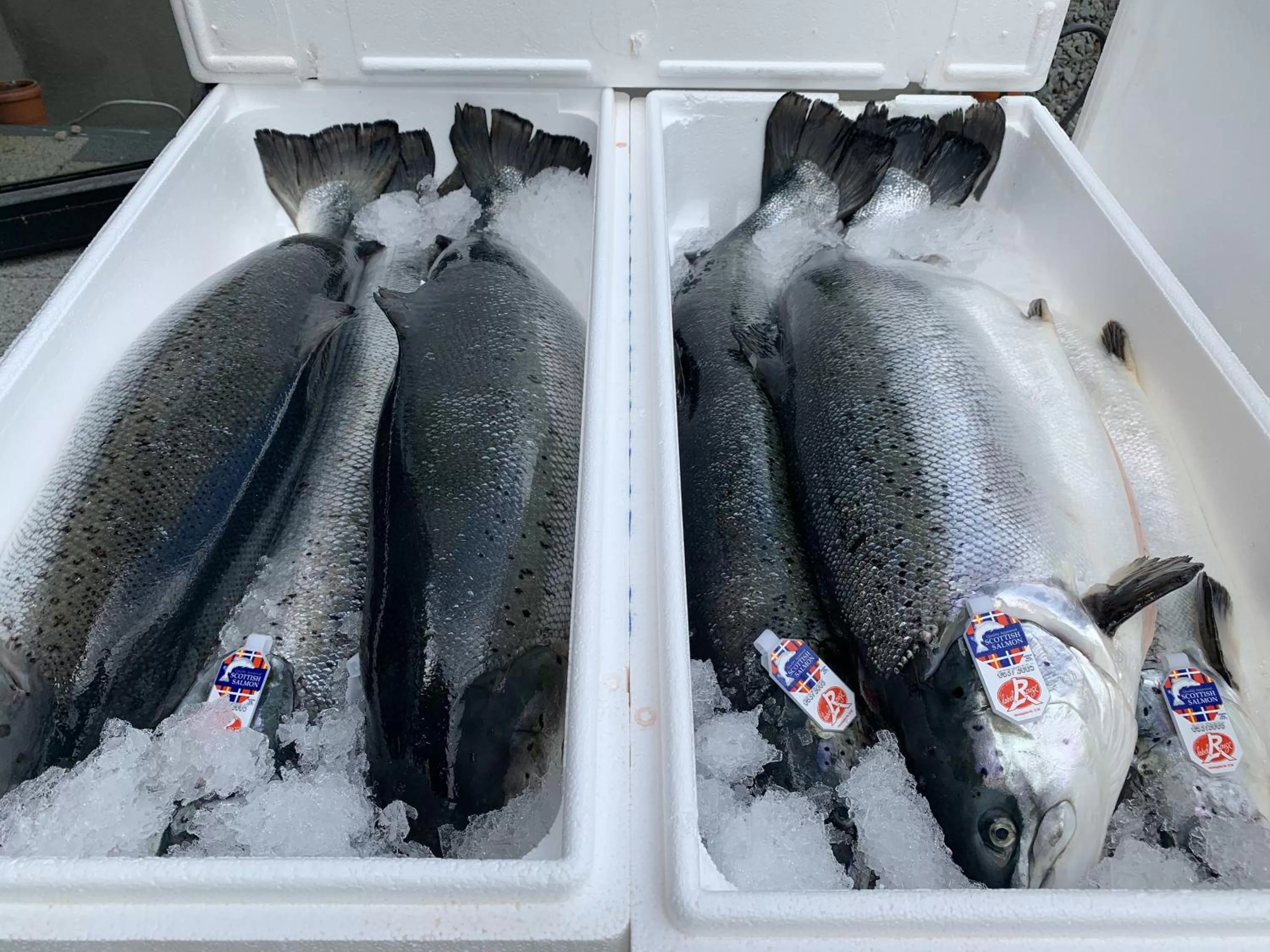 Food in th Hotel Leipzig Messe