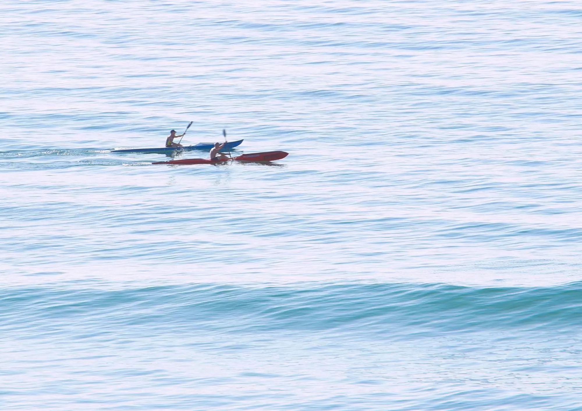 Day in Albatross North Apartments