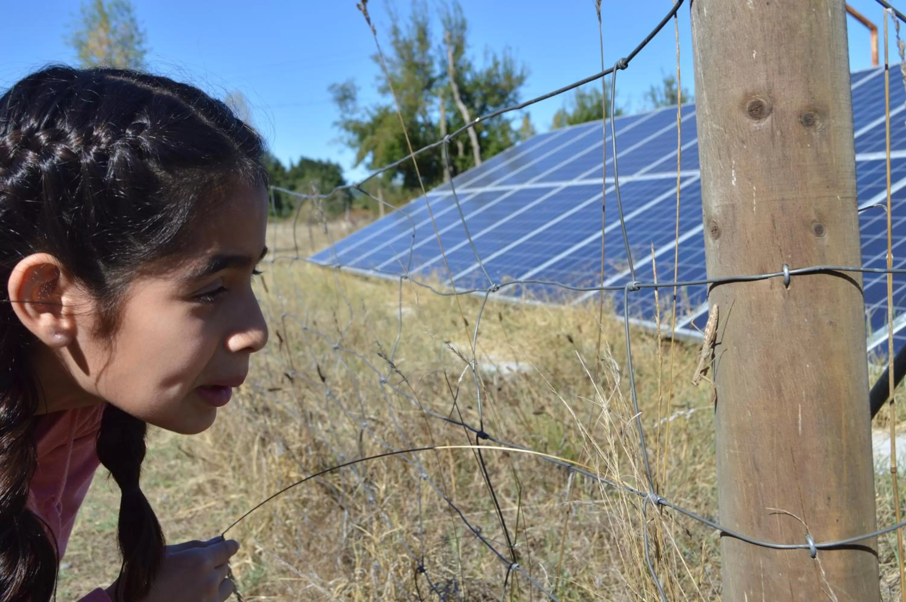 Children in Coyunche Cabañas y Camping Laja & San Rosendo