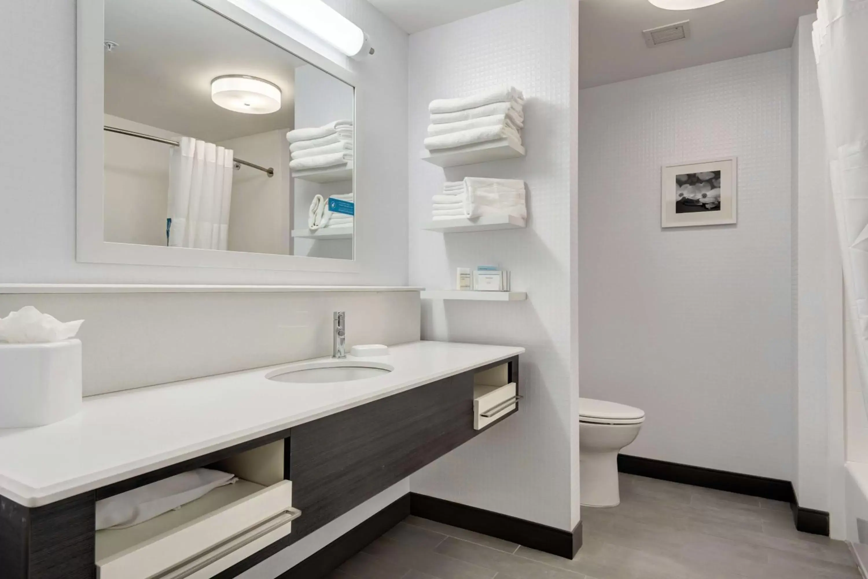 King Room with Sofa Bed - Non-Smoking in Hampton Inn-St. Louis Wentzville, MO King Room with Sofa Bed - Non-Smoking in Hampton Inn-St. Louis Wentzville, MO