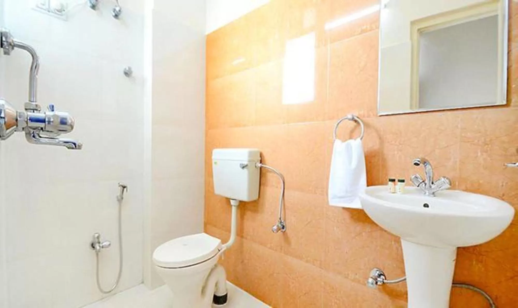 Bathroom in FabHotel Stay Bridge