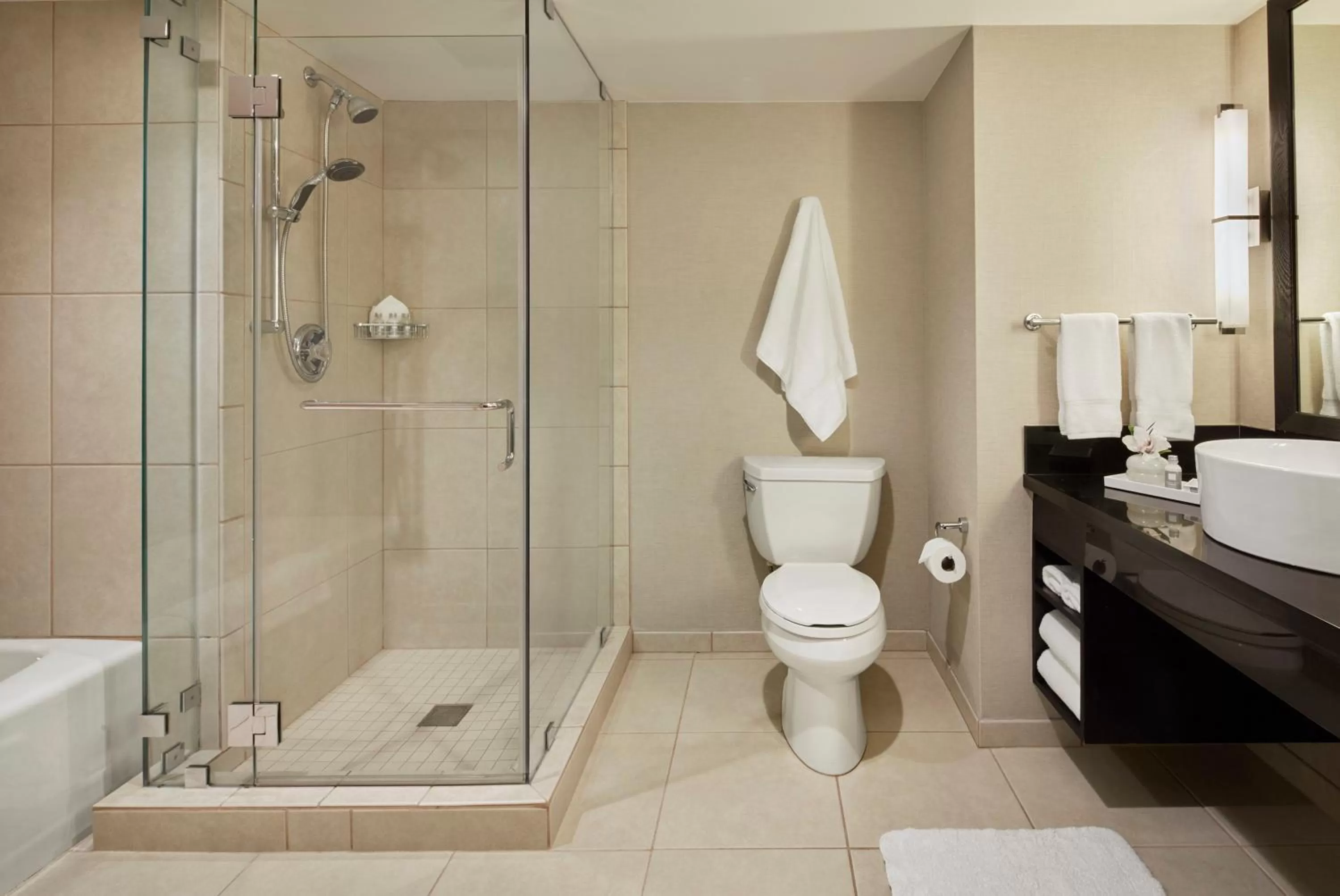 Bathroom in Hotel Nikko San Francisco