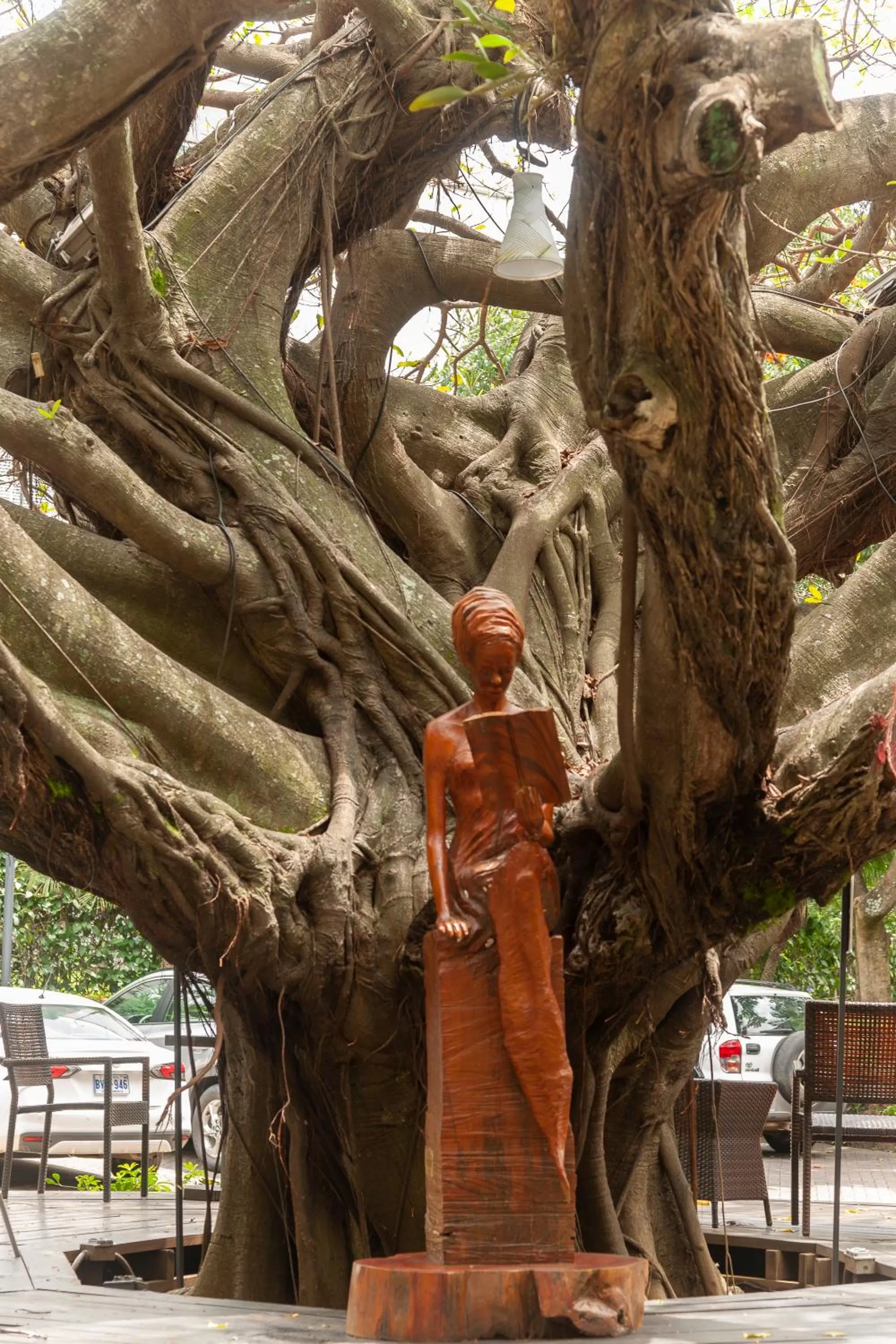 Balcony/Terrace in Studio Hotel Boutique