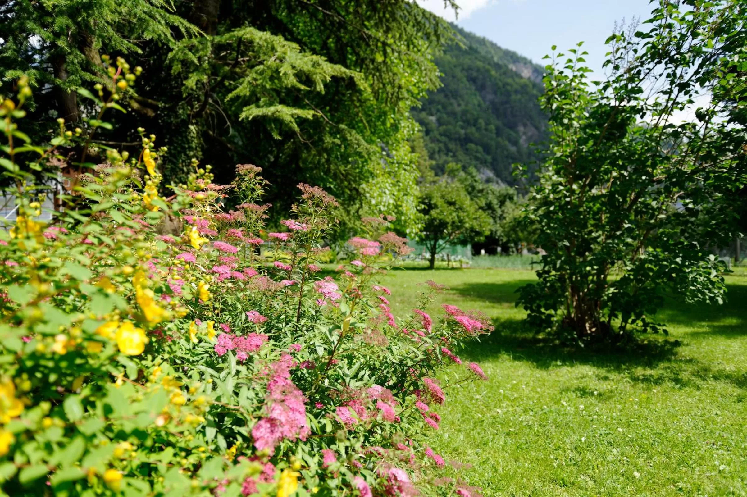 Garden in Hotel Beausite