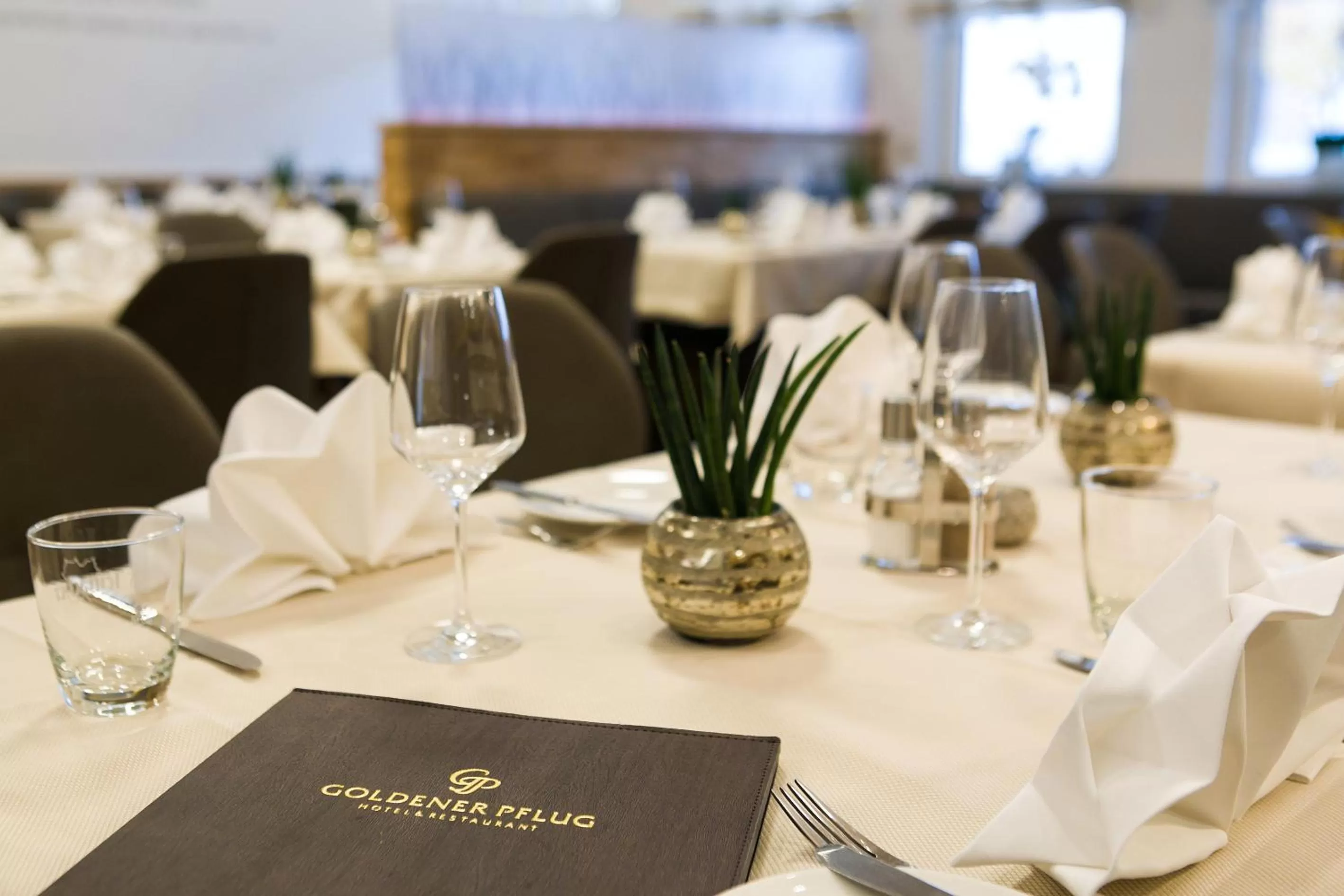 Restaurant/places to eat in Hotel & Restaurant Goldener Pflug