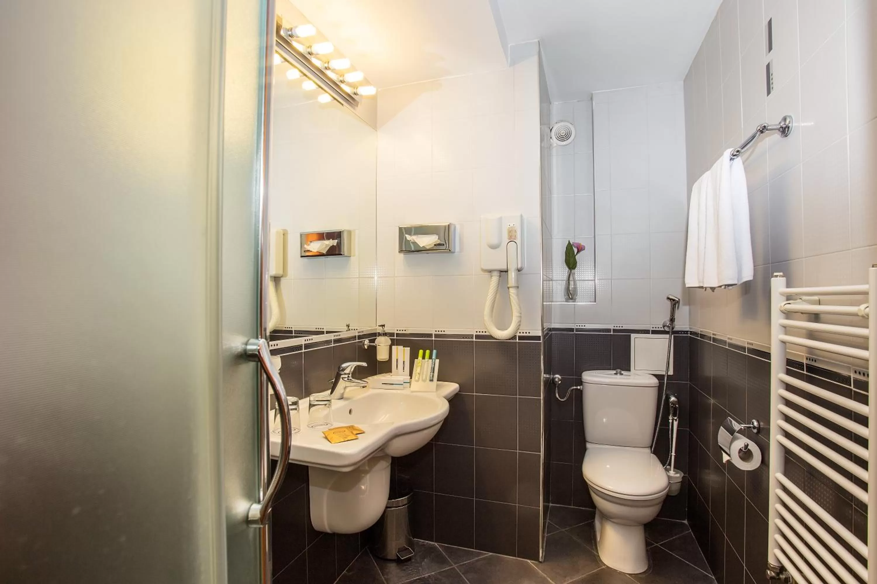 Bathroom in Europe Hotel