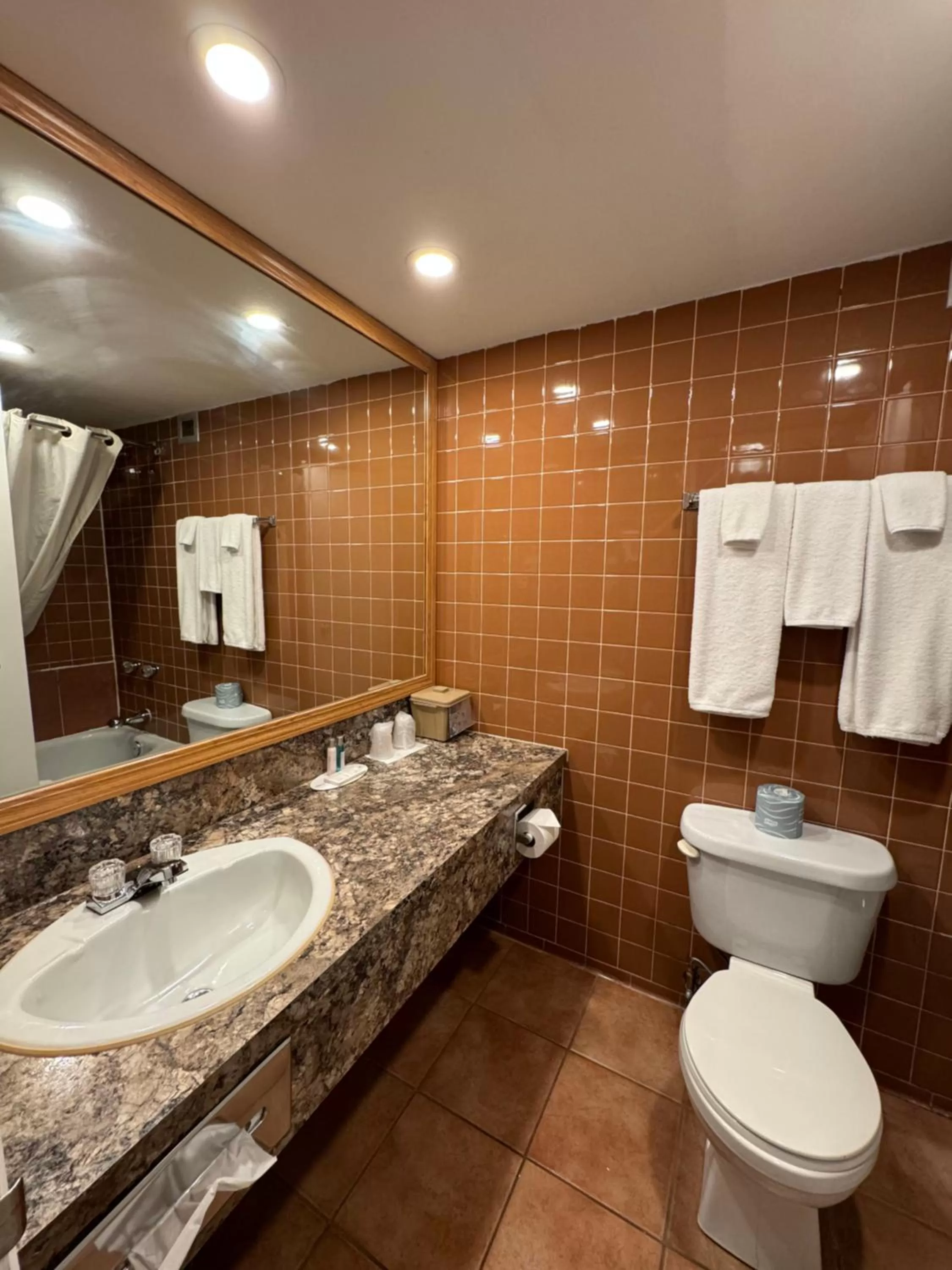 Bathroom in Travelodge by Wyndham Winnipeg