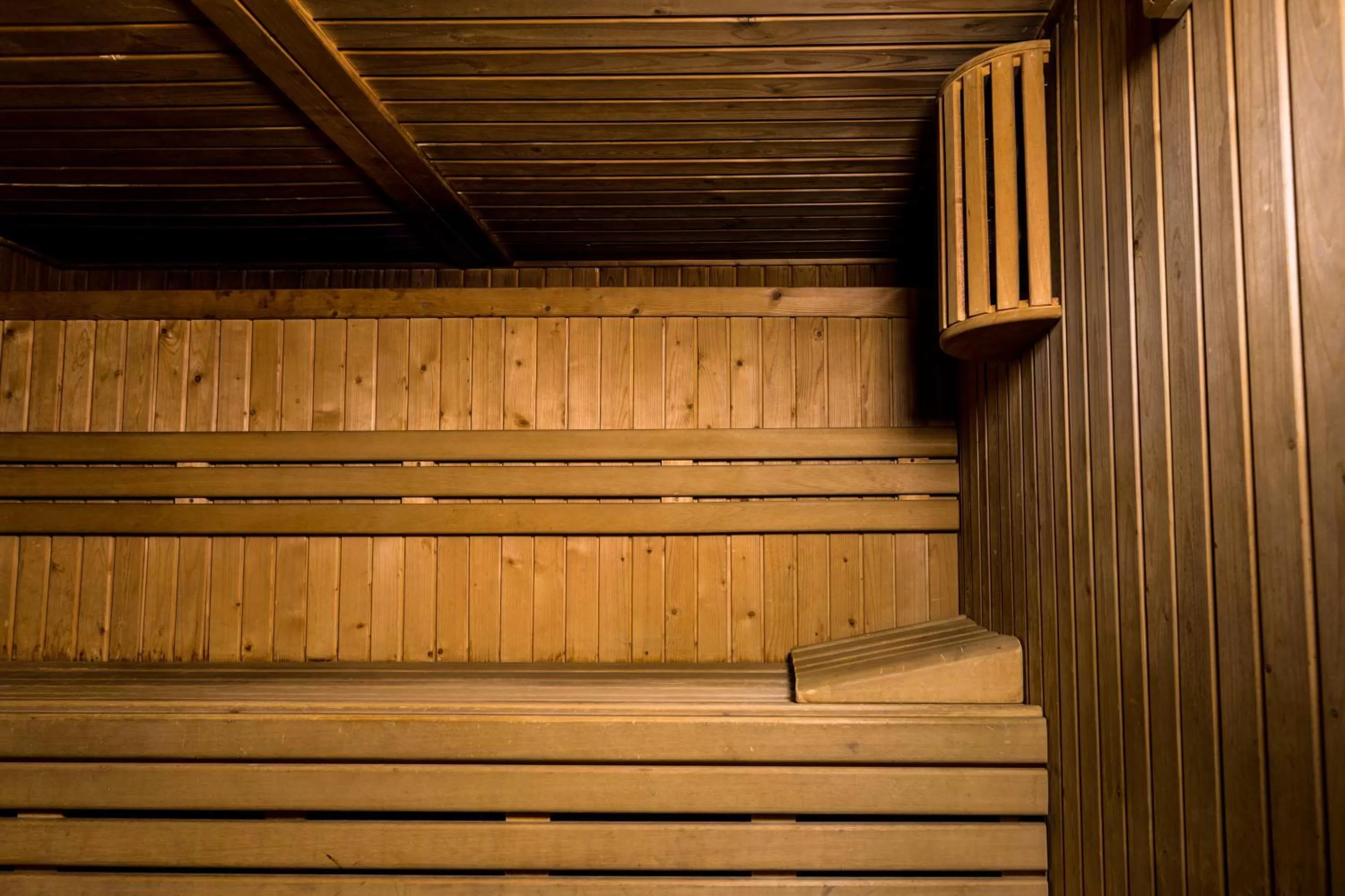 Sauna in Hotel Màgic Ski by Nexta