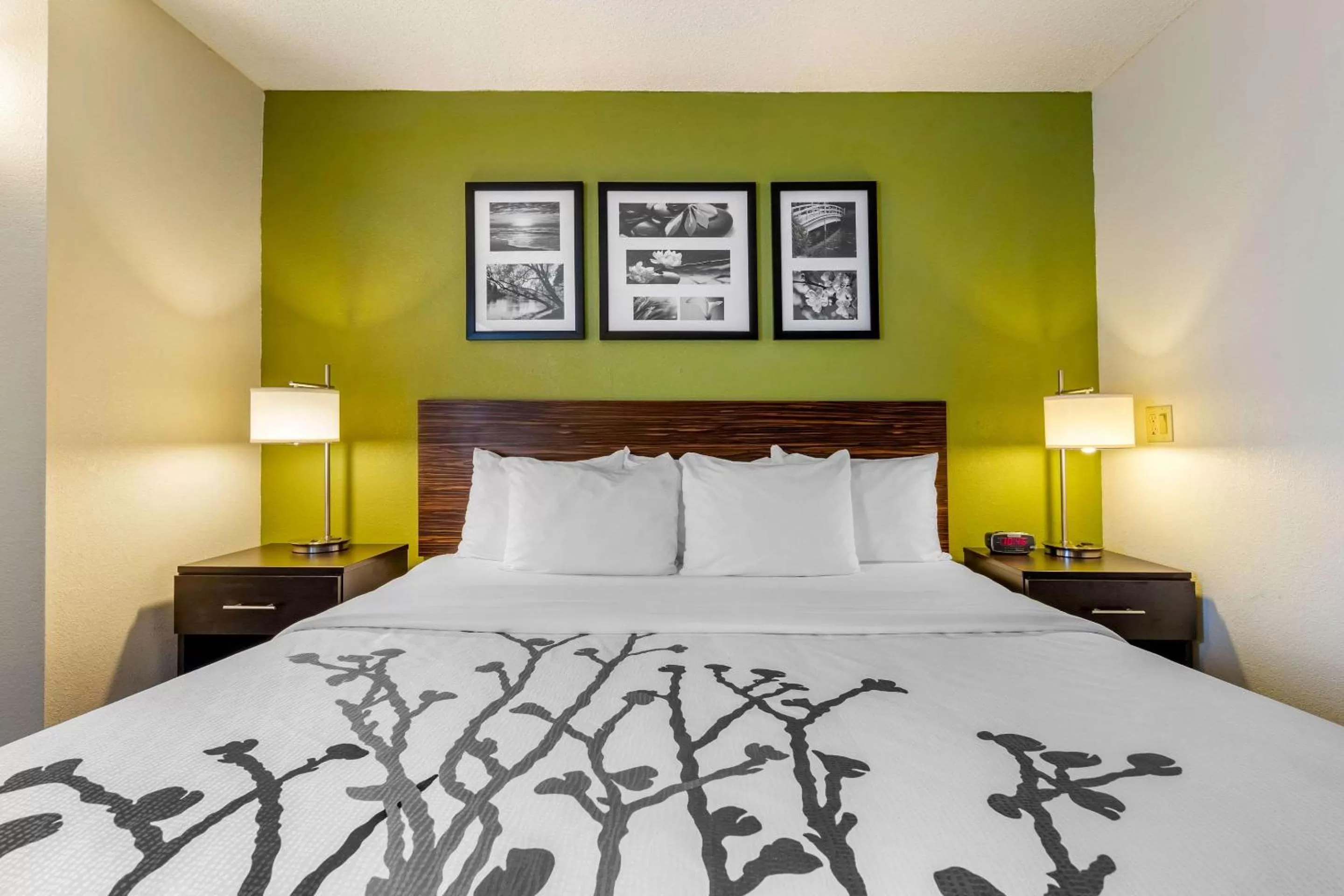 Photo of the whole room, Bed in Sleep Inn I-95 North Savannah