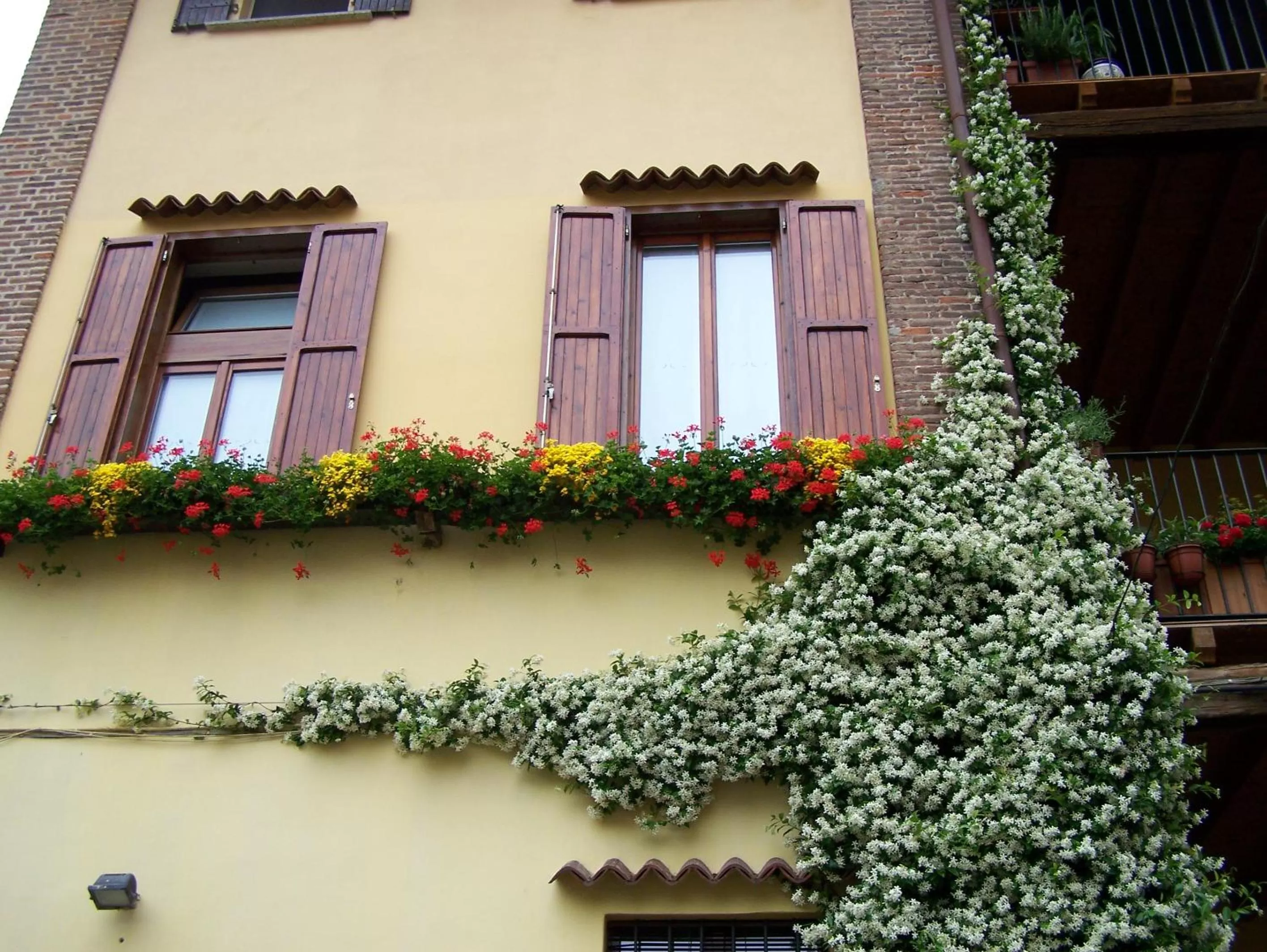 Property building in B&b Rosy