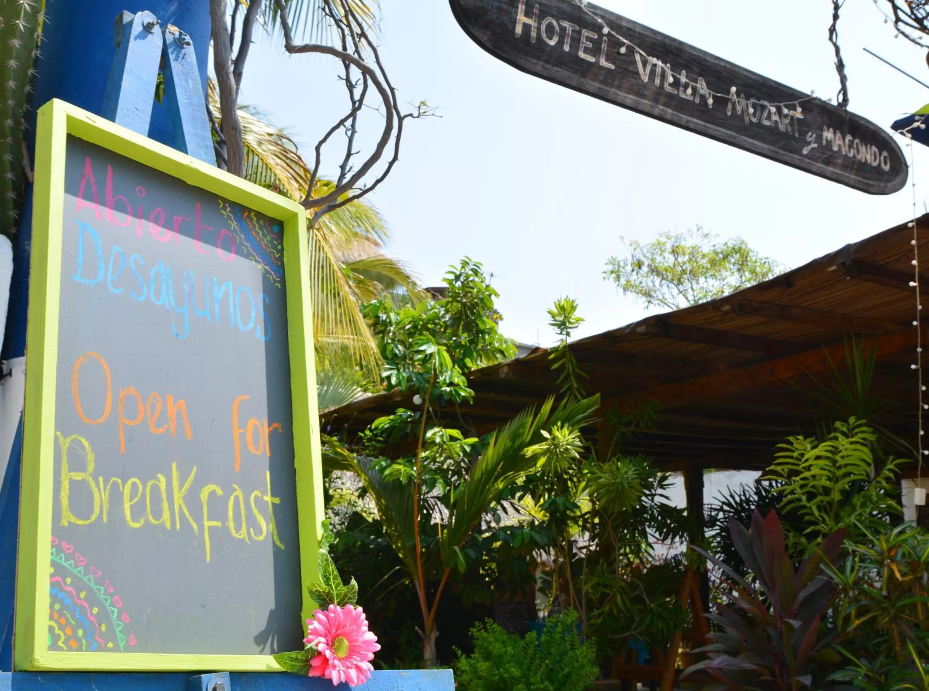 Property building in Hotel Villa Mozart y Macondo