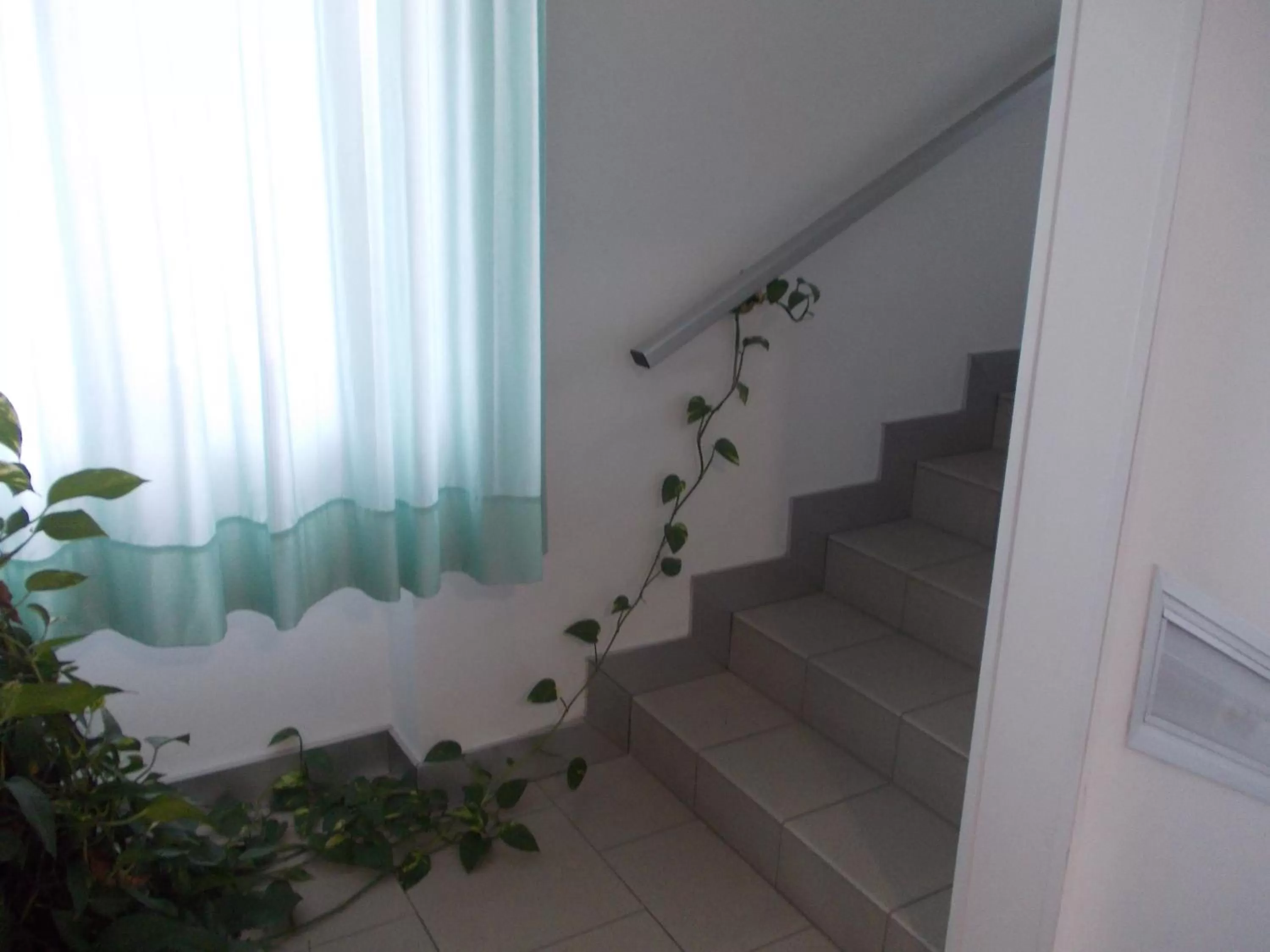 Scacco Rosso via Piave 23