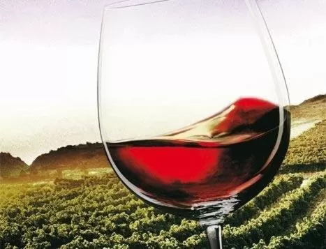 Area and facilities in Hotel Ríos