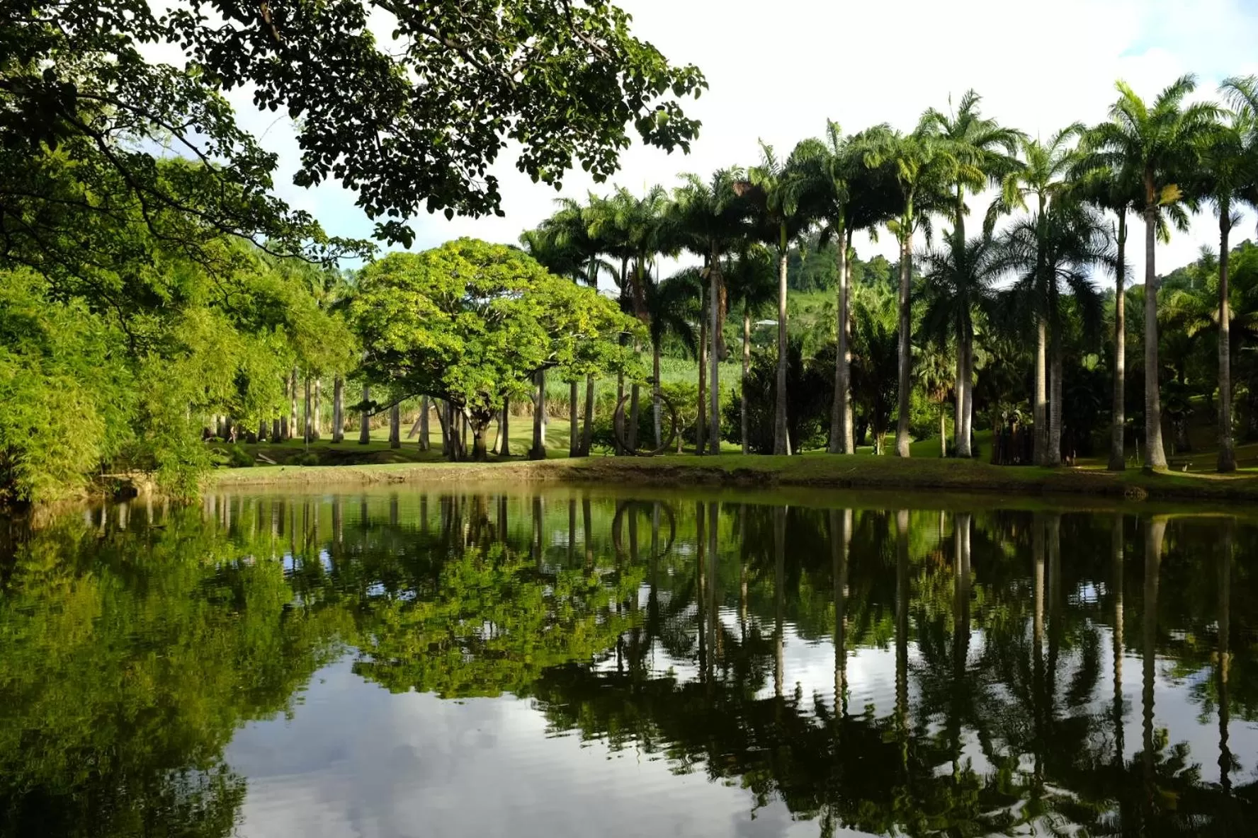 Natural landscape in Bed and breakfast Riviere