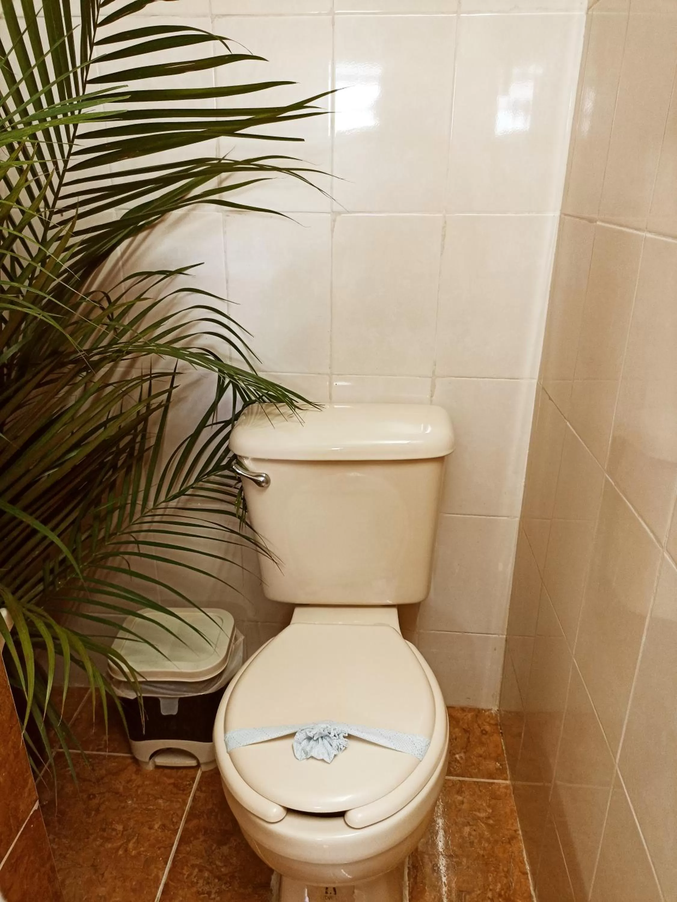 Casa De Los Pájaros - B&B