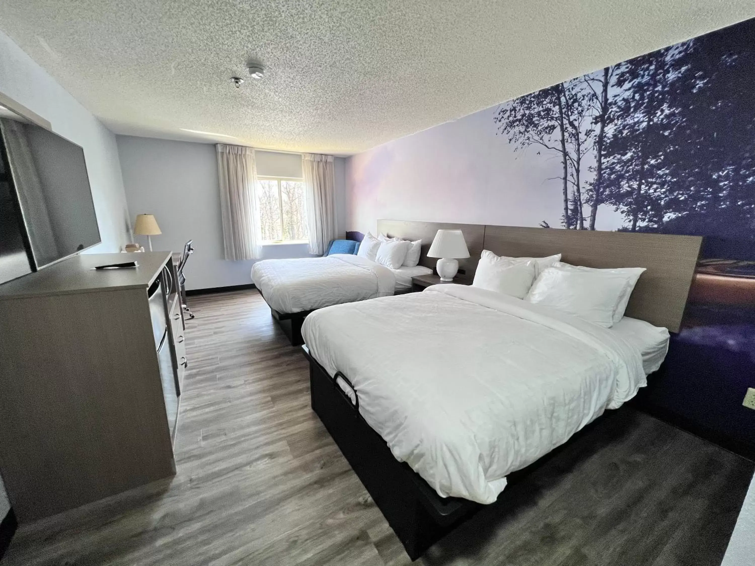 Standard Queen Room with Two Queen Beds - Non Smoking in Clarion Pointe on the lake Clarksville-South Hill West Standard Queen Room with Two Queen Beds - Non Smoking in Clarion Pointe on the lake Clarksville-South Hill West