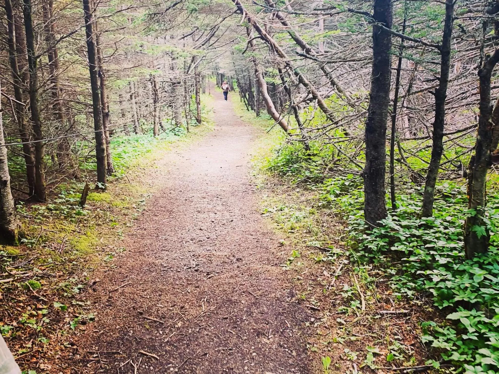 Hiking in Sea Breeze Bed & Breakfast and RV Park