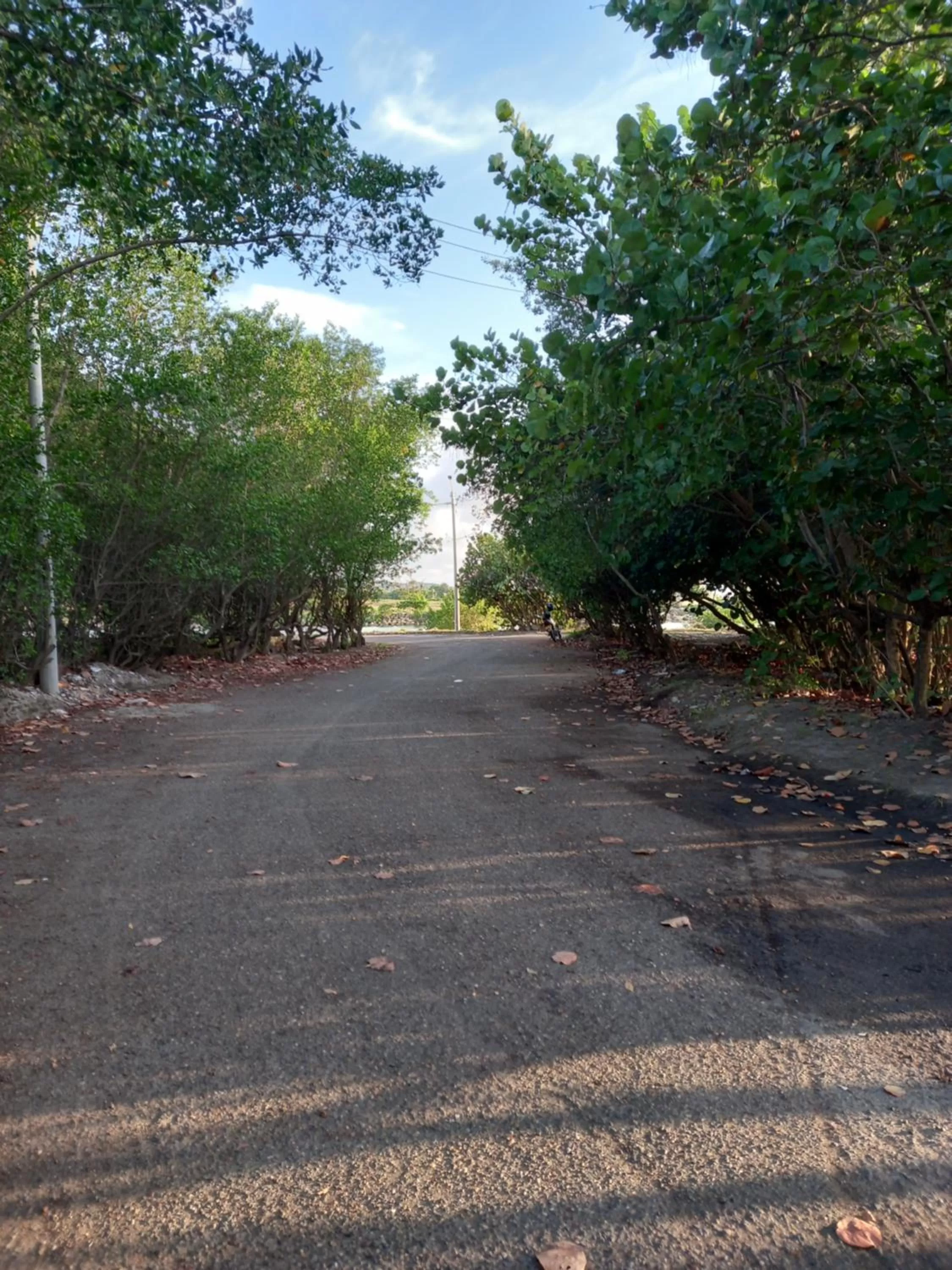 Hiking in Hotel Boutique Casa Mar