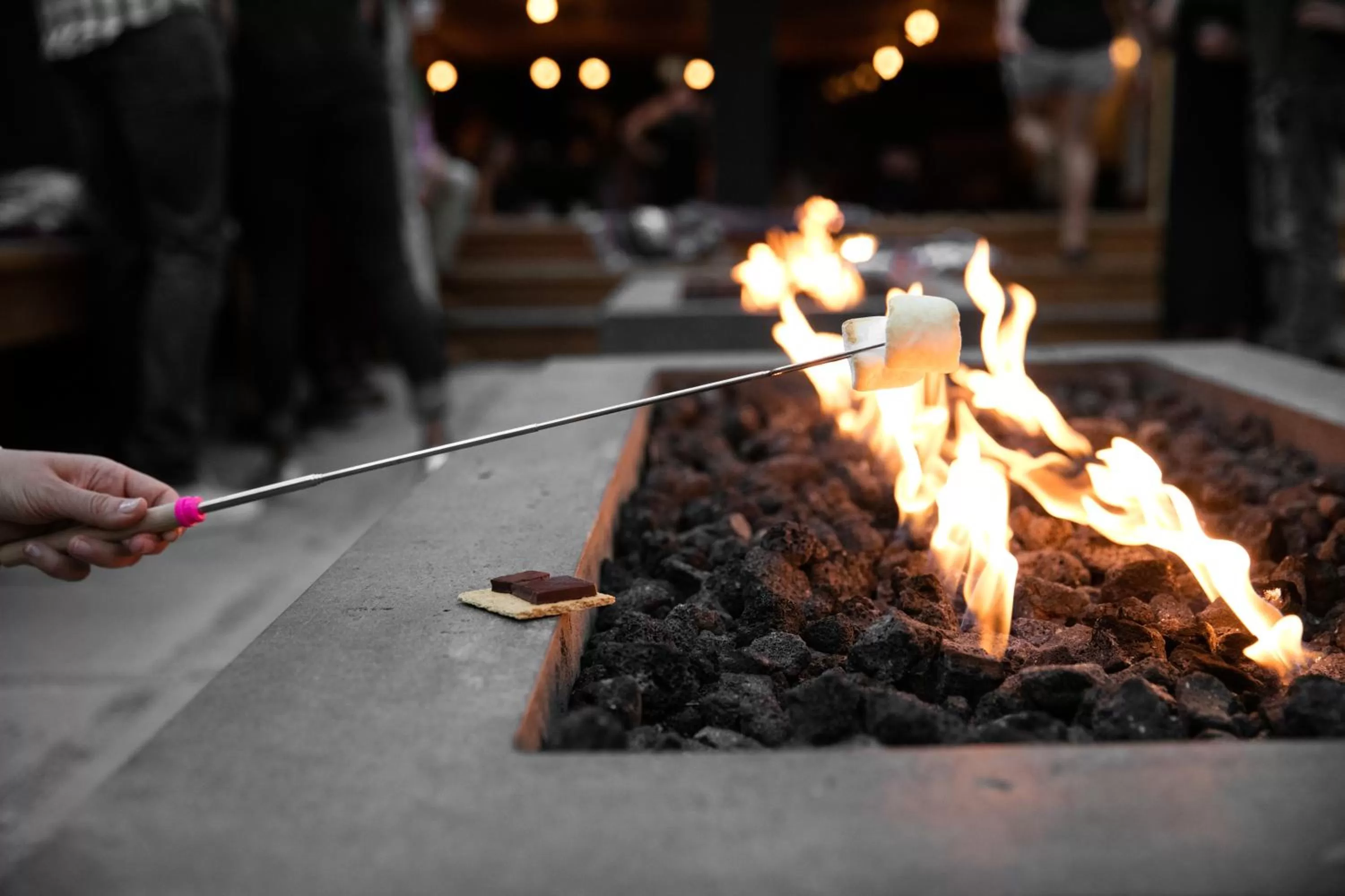 Food close-up in The Coachman Hotel