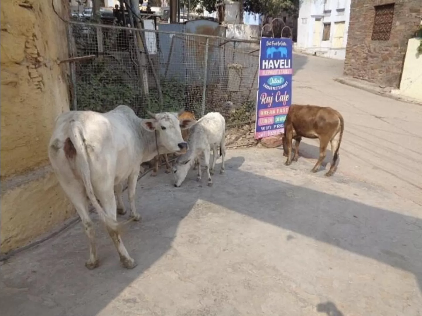Facade/entrance in Haveli Elephant Stable
