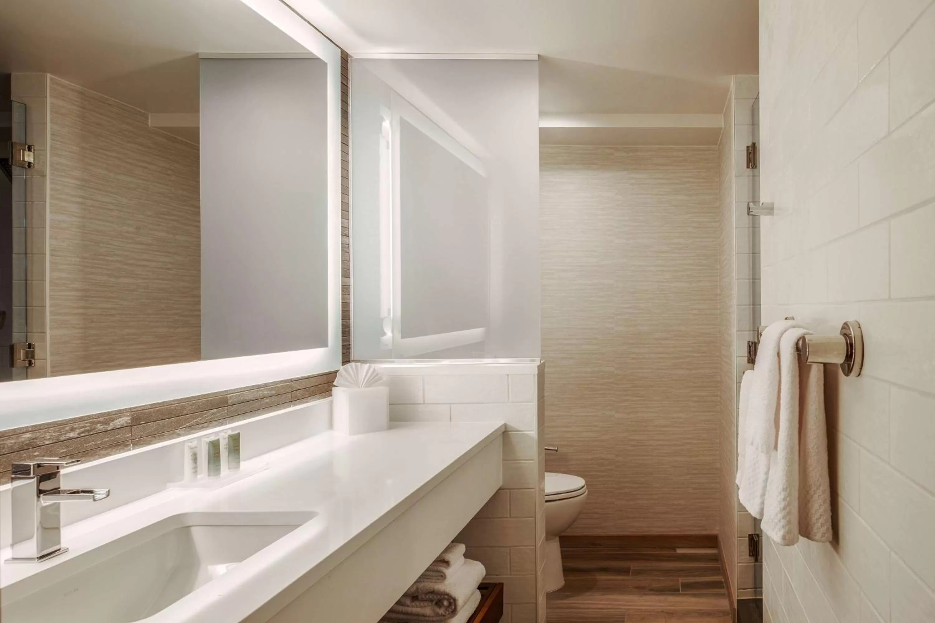 Bathroom in Hilton Denver City Center