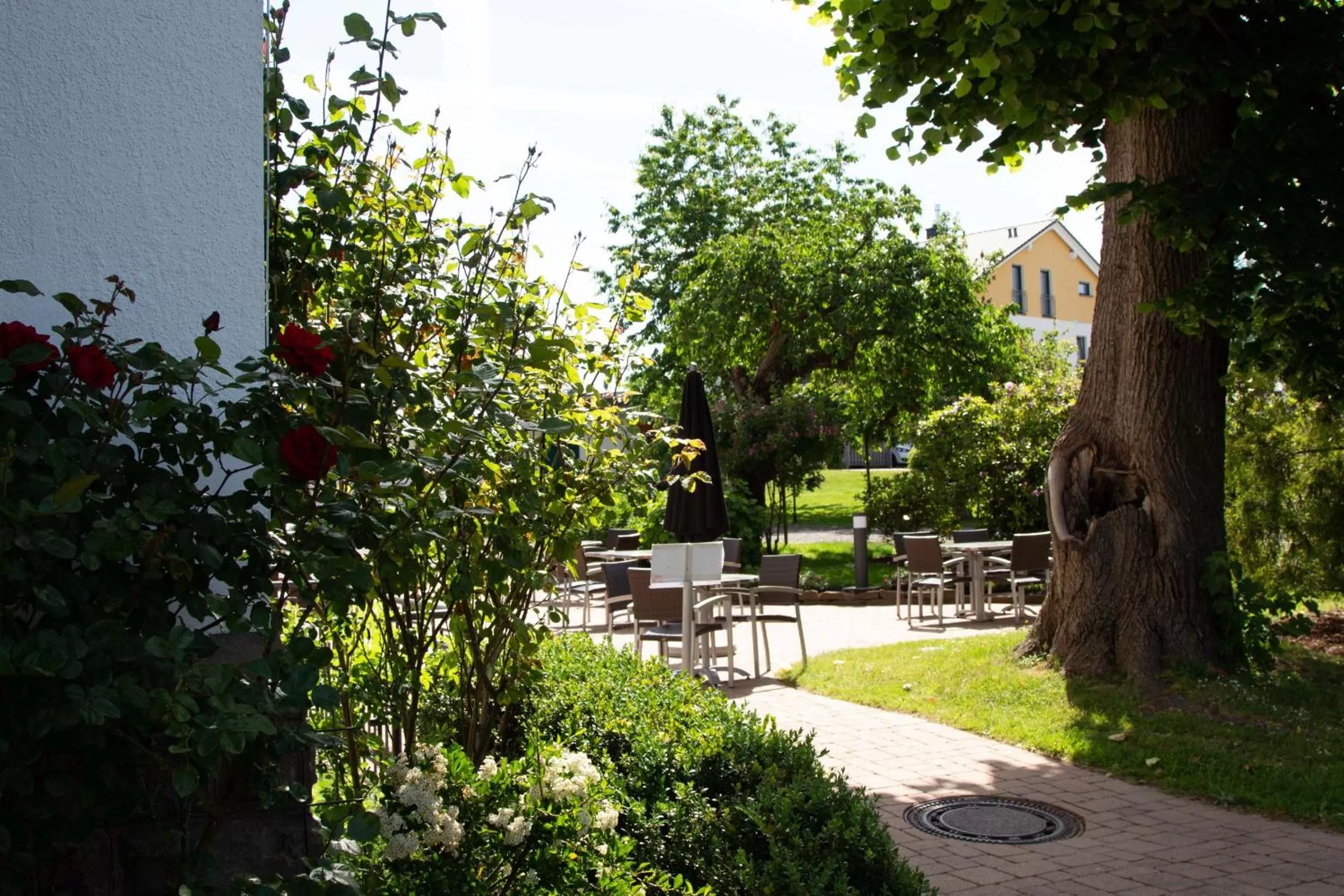 2T Hotel artgenossen