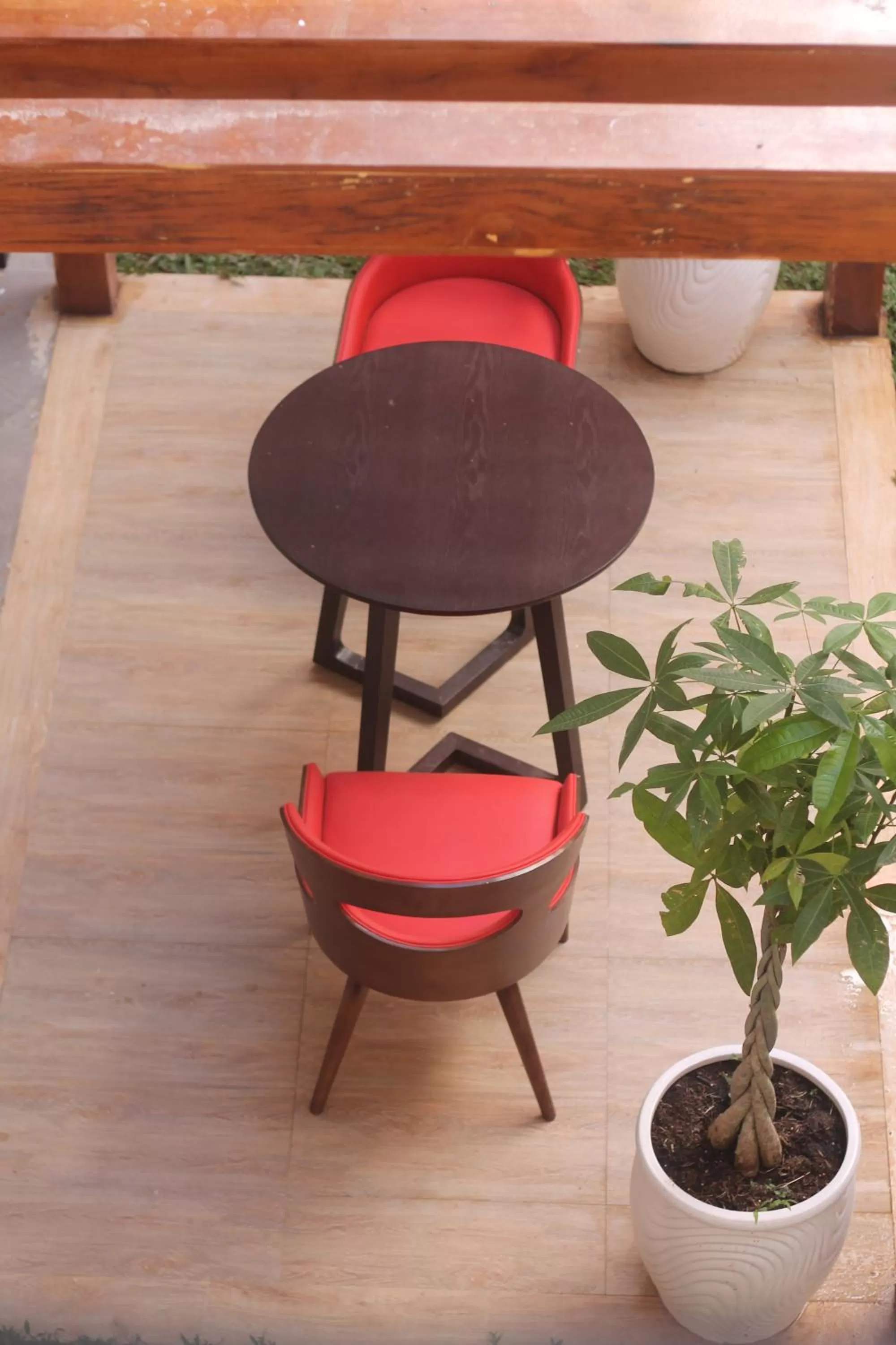 Garden in Benny's City Hotel