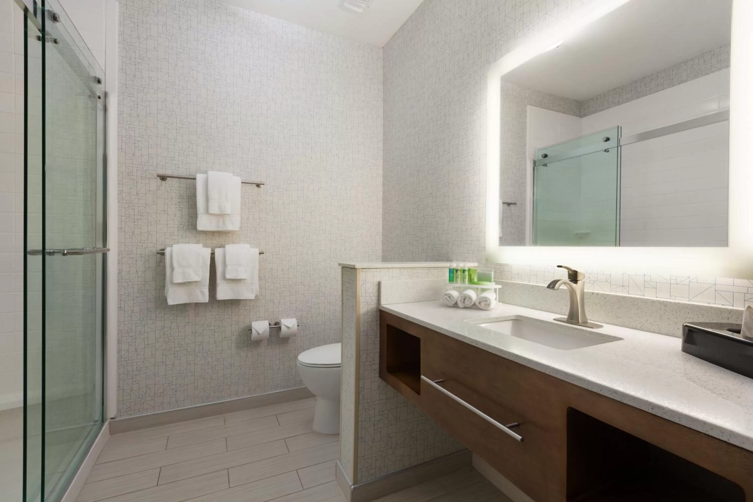 Bathroom in Holiday Inn Express & Suites Edinburg- Mcallen Area, an IHG Hotel