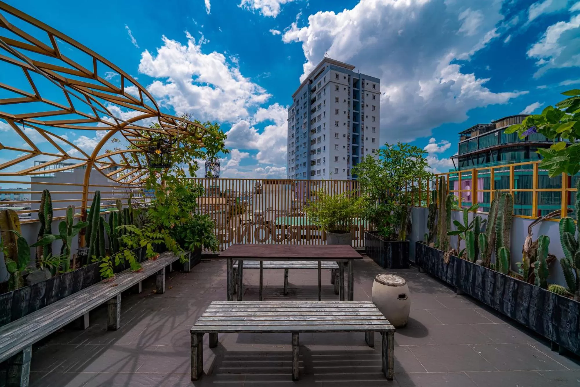 Day in Cactusland Boutique Hotel