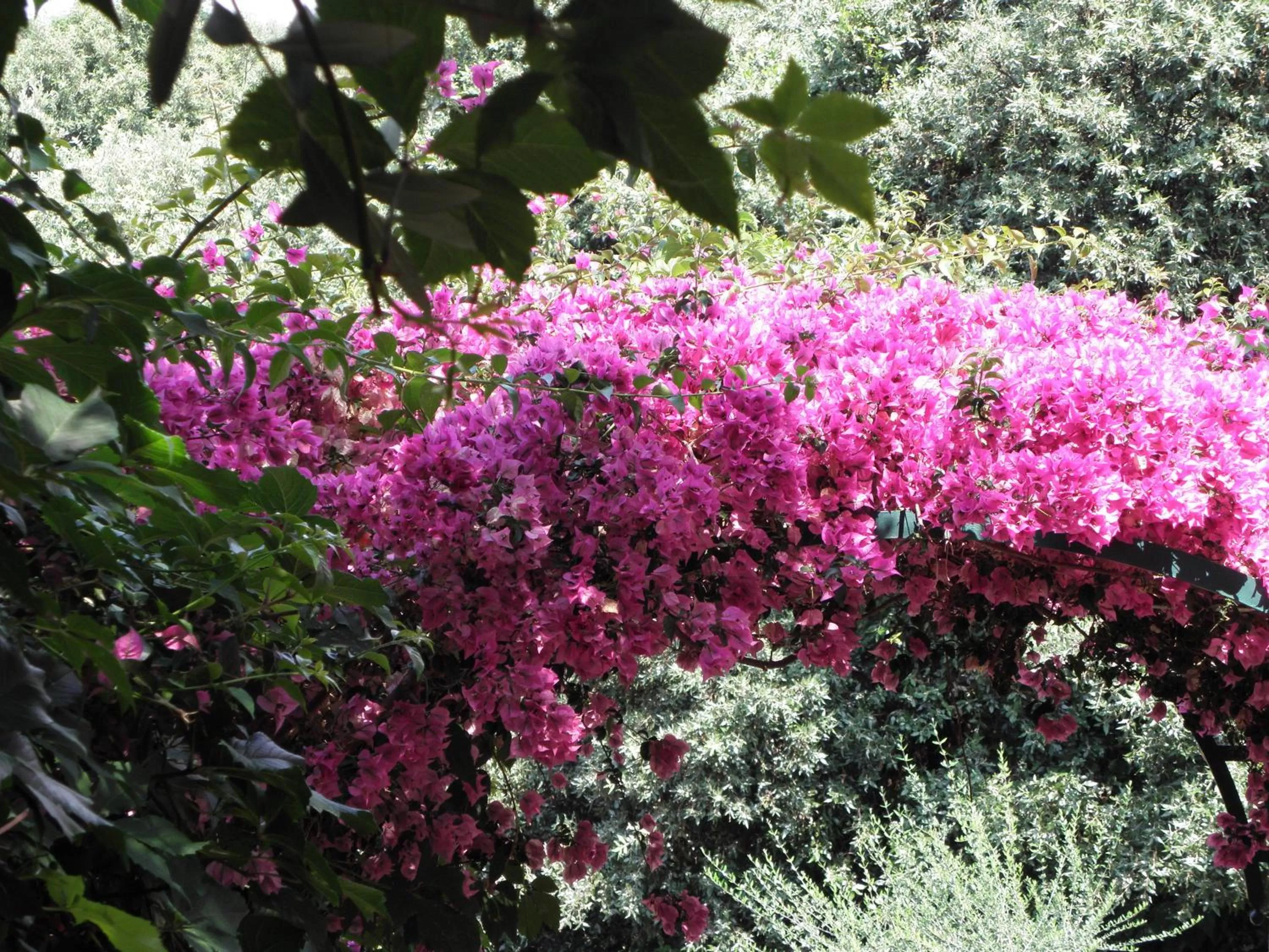 Decorative detail in Residence Torre Delle Viole