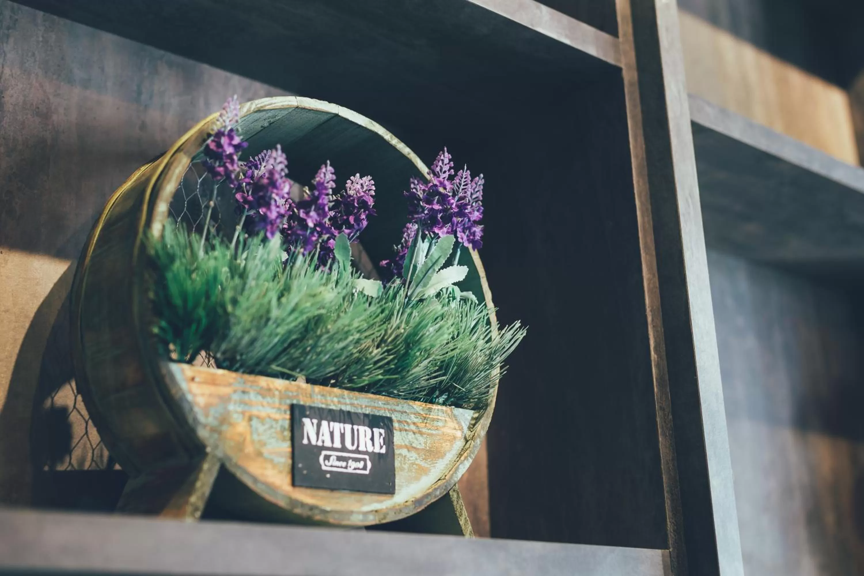 Garden in V3 Hotel & Residence Seri Alam